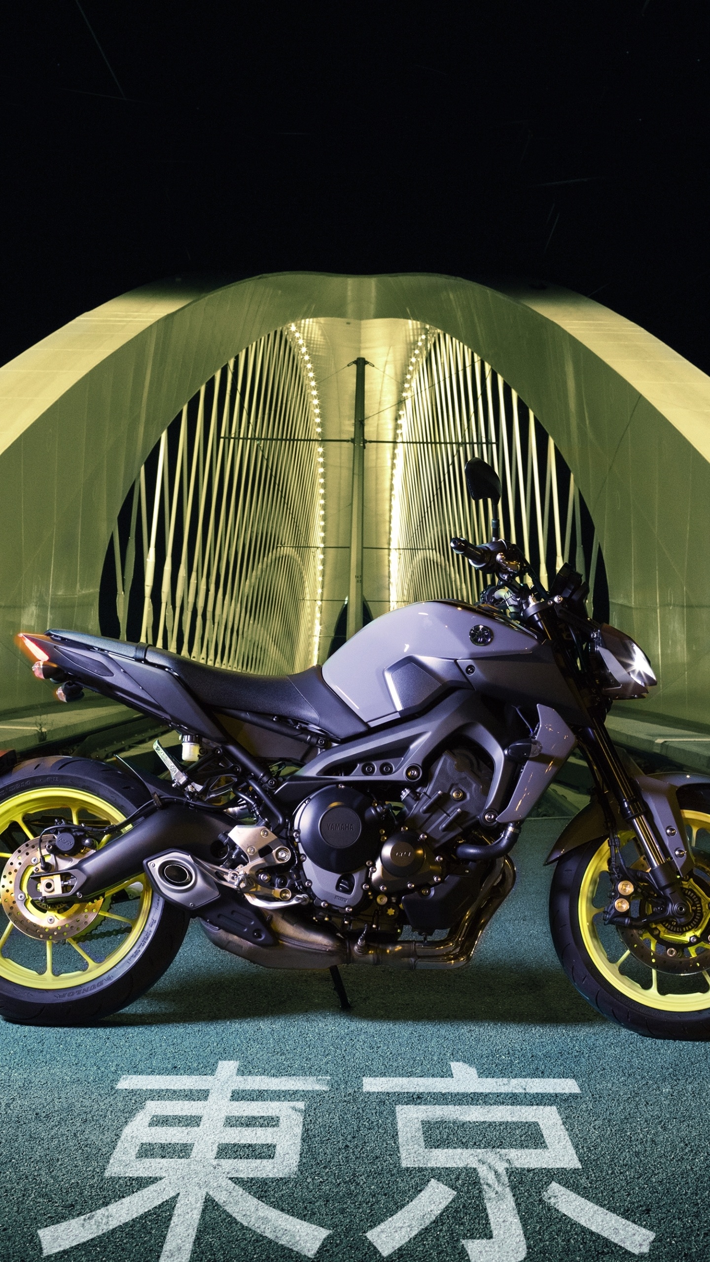 Yamaha MT-09, Thrilling rides, Powerful motorbike, Unmatched performance, 1440x2560 HD Handy