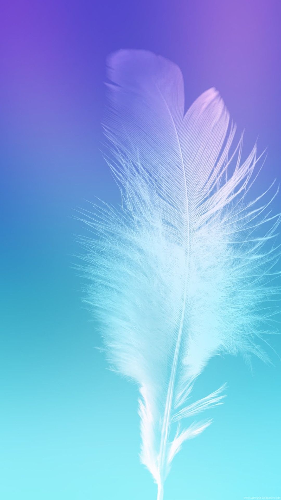 Feather: Semiplume, a cross between the down and contour feathers. 1080x1920 Full HD Wallpaper.