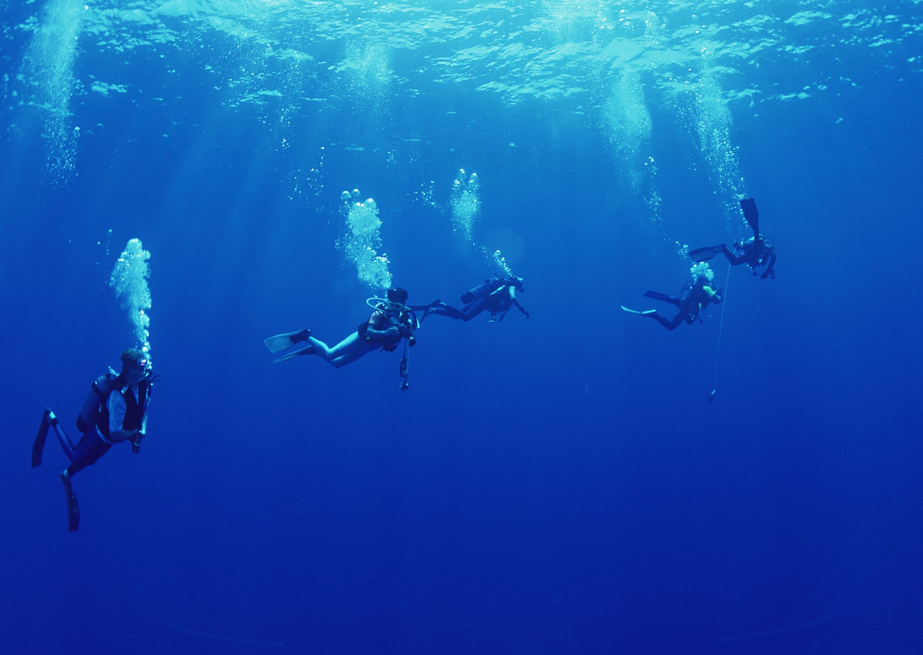 Scuba Diving: Recreational underwater swimming, The use of scuba equipment for the leisure purposes. 2950x2100 HD Wallpaper.