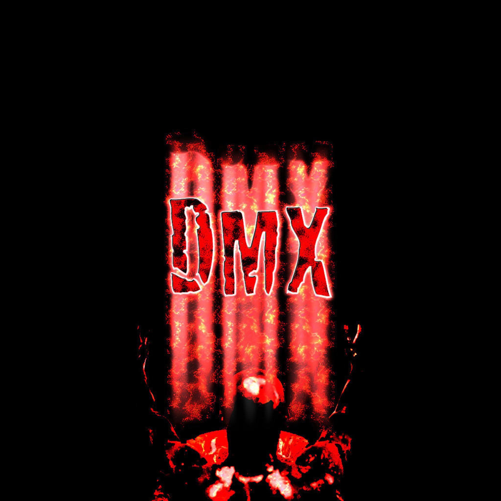 DMX (Celebs), Rapper's legacy, Iconic performances, Street rap culture, 2050x2050 HD Phone