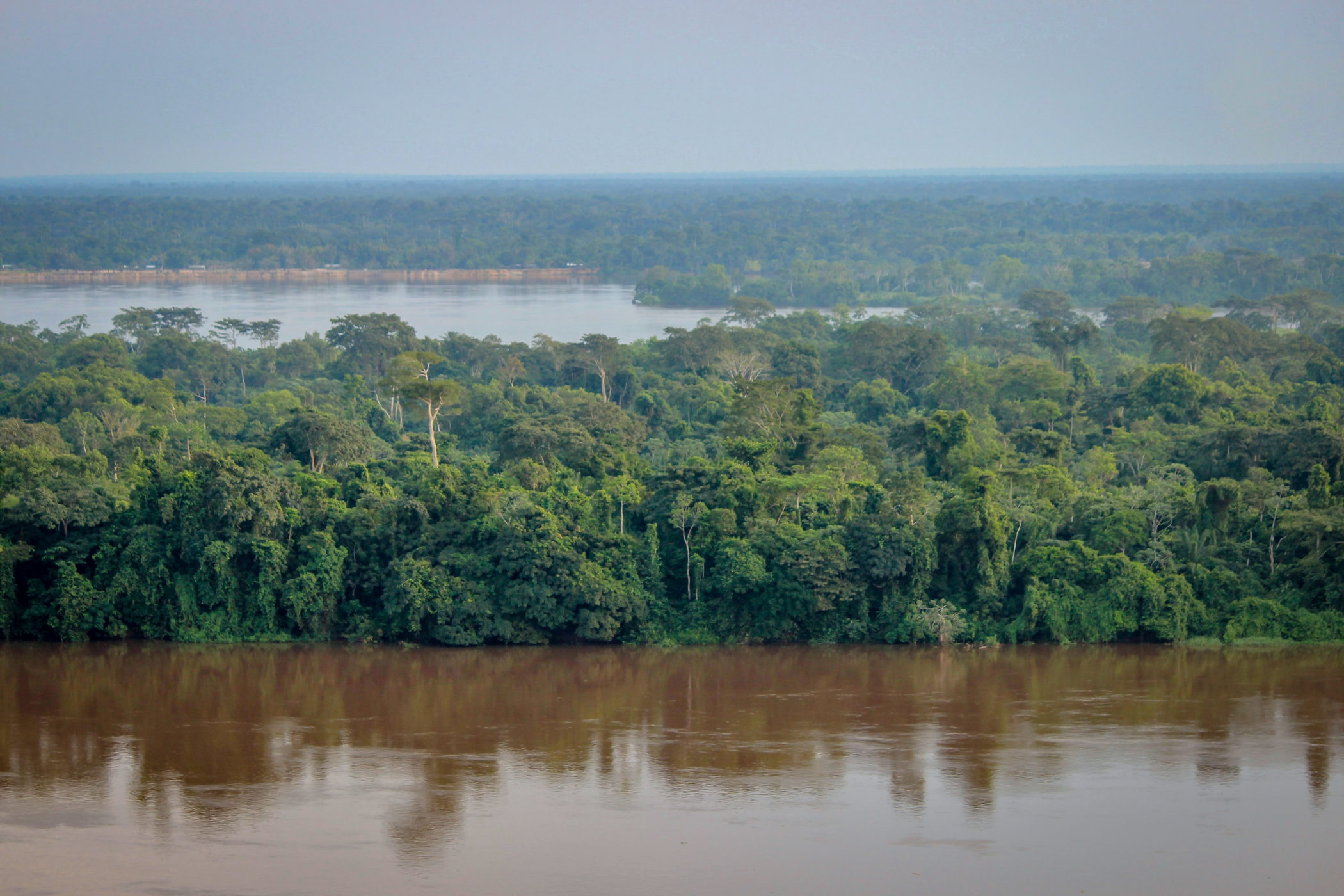 Congo River, Basin exploration, Untouched wilderness, Natural habitat, 2100x1400 HD Desktop
