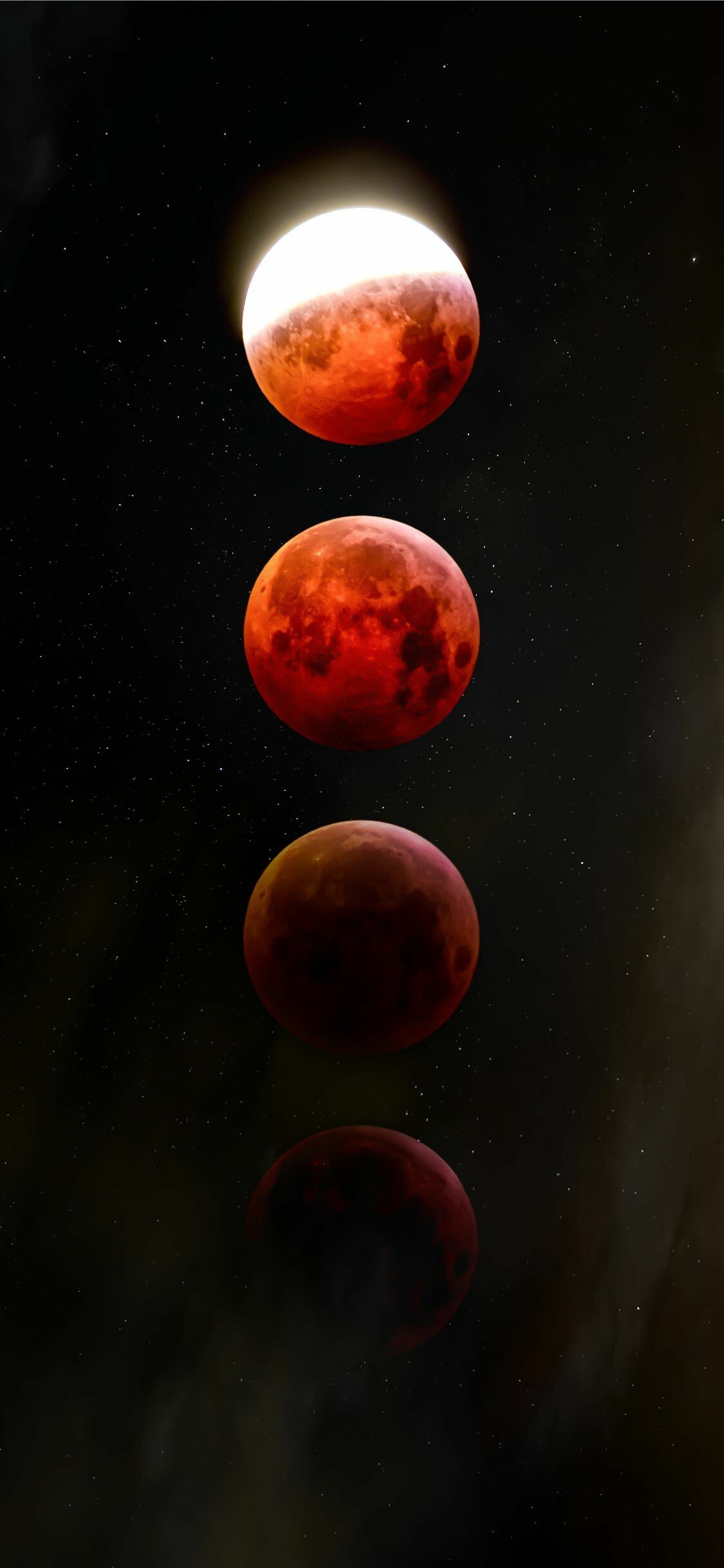 Phases, Mondfinsternis Wallpaper, 1130x2440 HD Handy