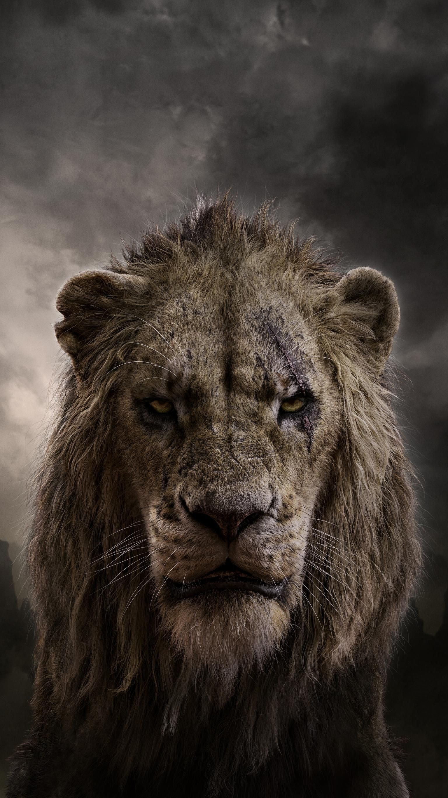 The Lion King movie, Mobile wallpaper, Disney magic, Stunning visuals, 1540x2740 HD Phone