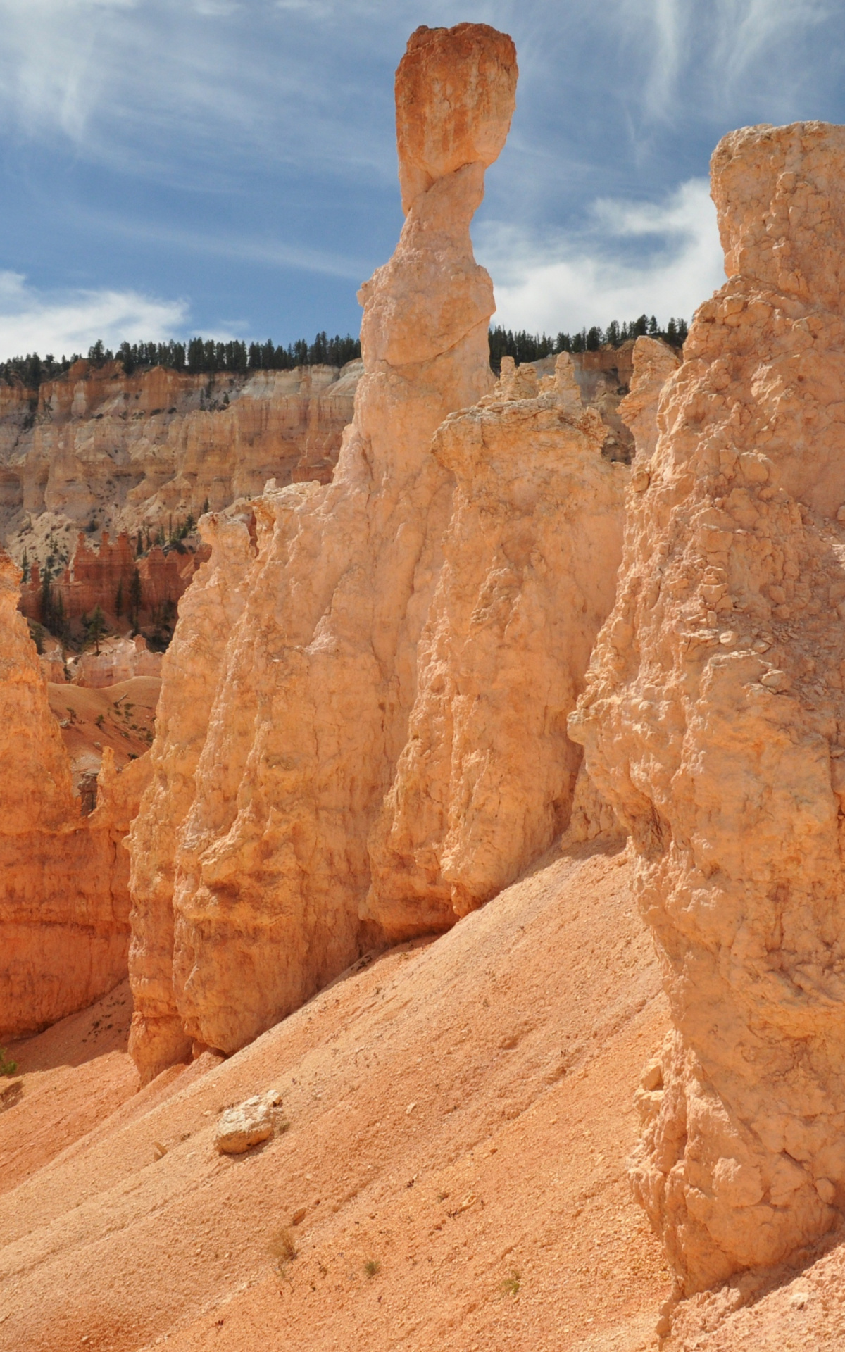 Hoodoos in Bryce Canyon, Utah, 4K HD desktop wallpapers, Stunning beauty, 1200x1920 HD Phone