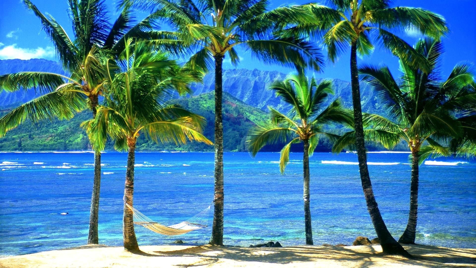 Hawaiian beaches, Stunning ocean views, Desktop wallpapers, 1920x1080 Full HD Desktop