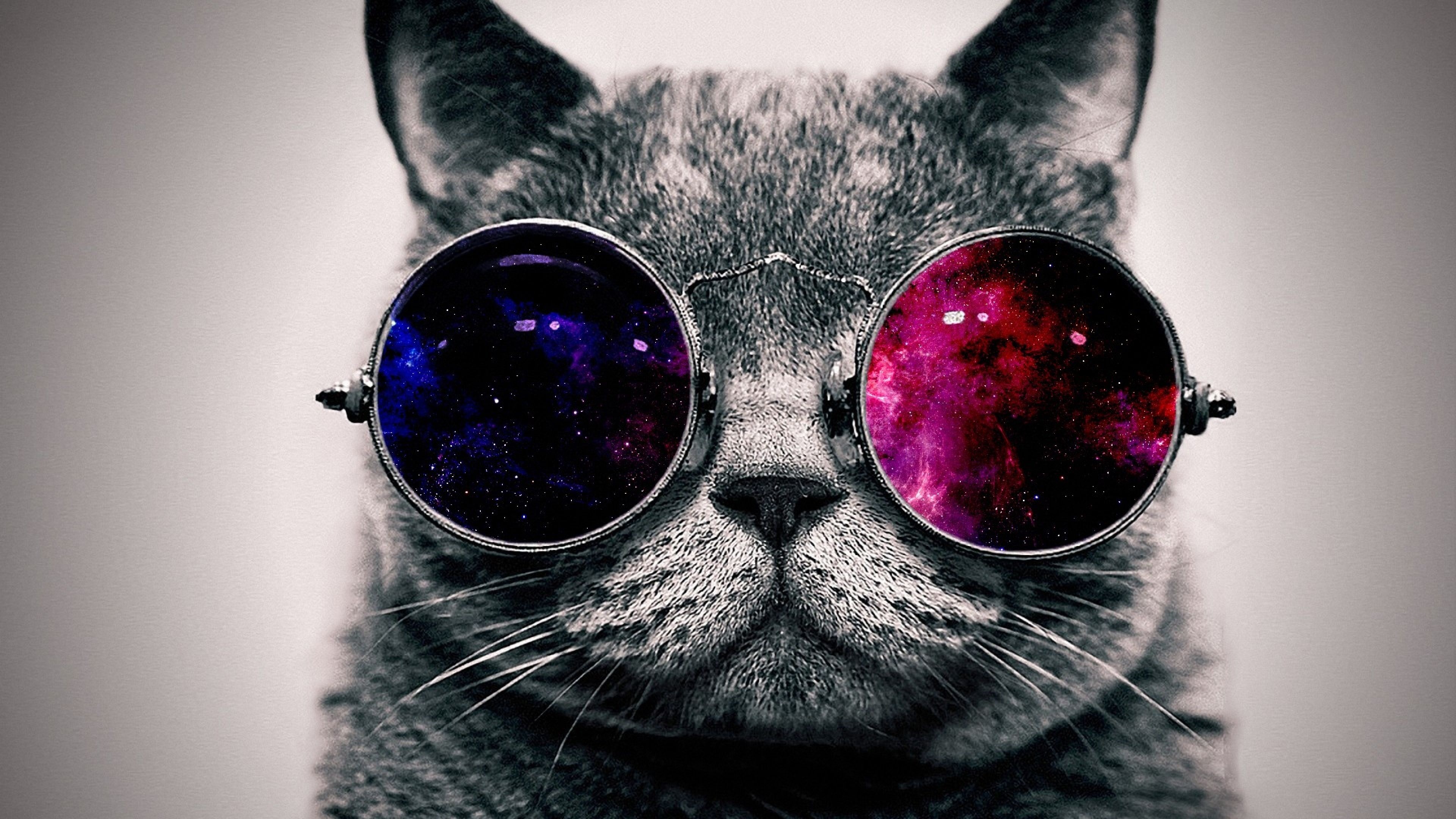 Galaxy Cat, Feline fashion, Glasses trend, Cat lovers delight, 3840x2160 4K Desktop