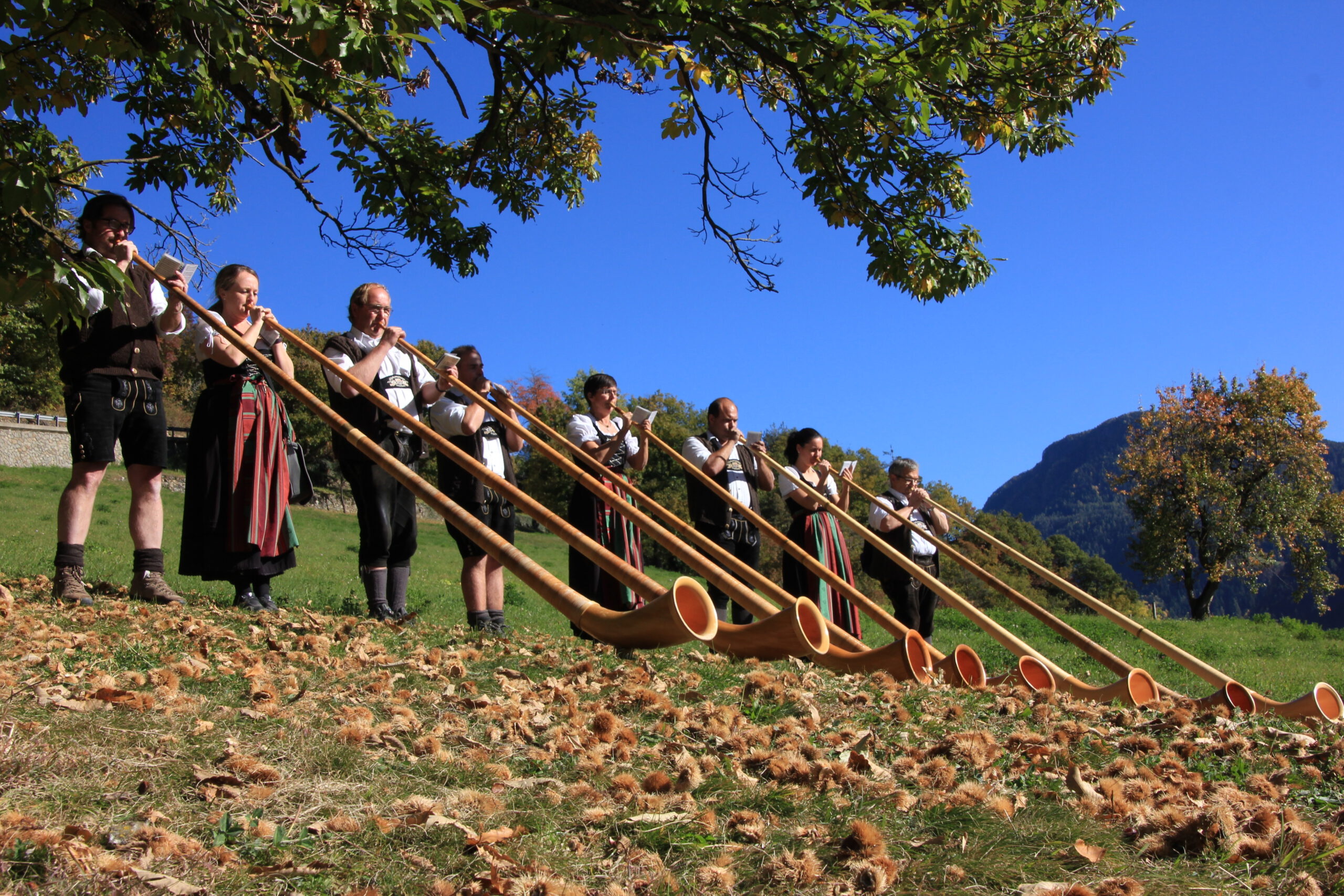 Alphorn: Eisenberger Alphorn Group, Since 1975, Consisting of 13 members in 4 voices, The Wurzburg Music Festival. 2560x1710 HD Background.