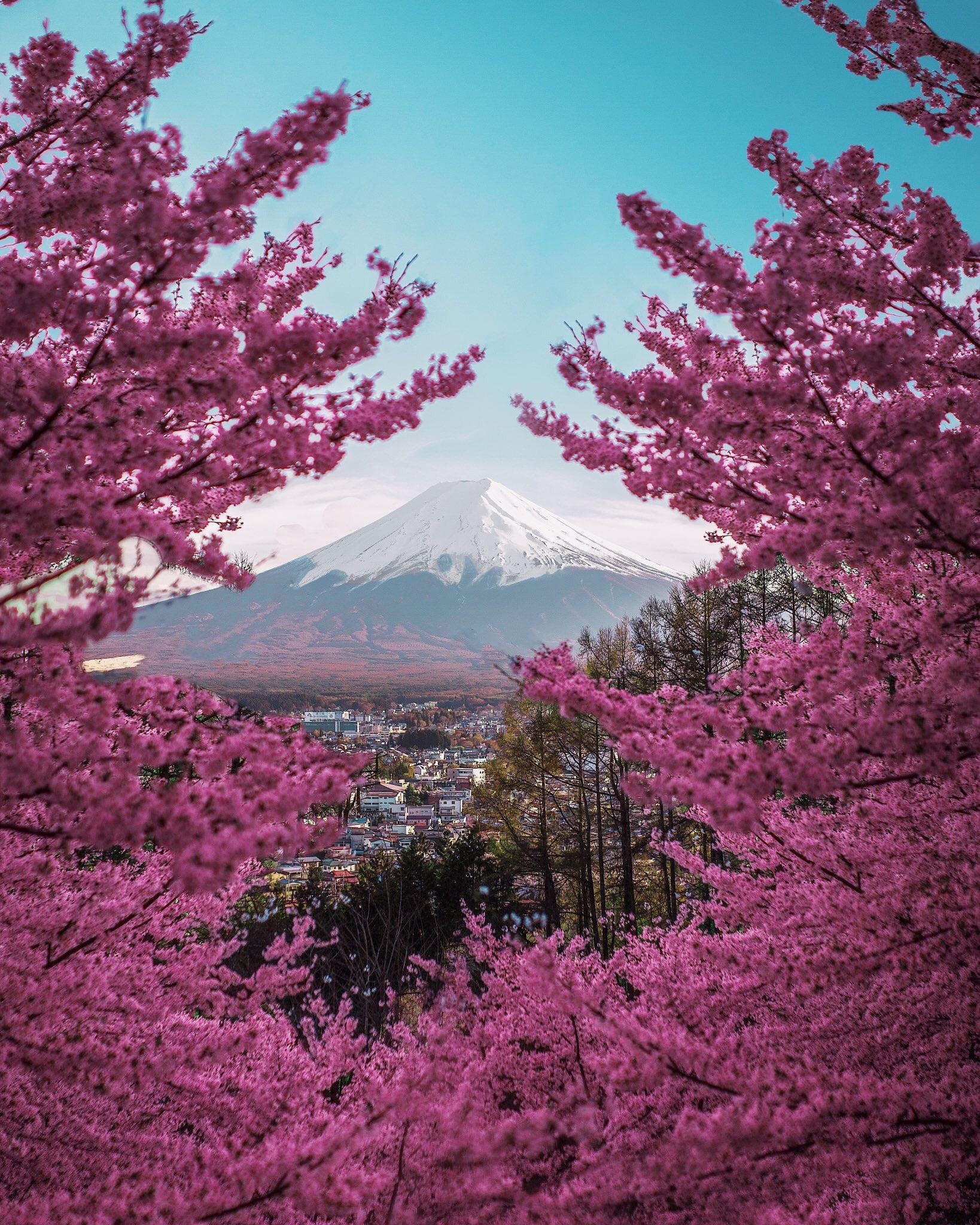 Mount Fuji, Travels, iPhone Wallpapers, HD, 1640x2050 HD Phone