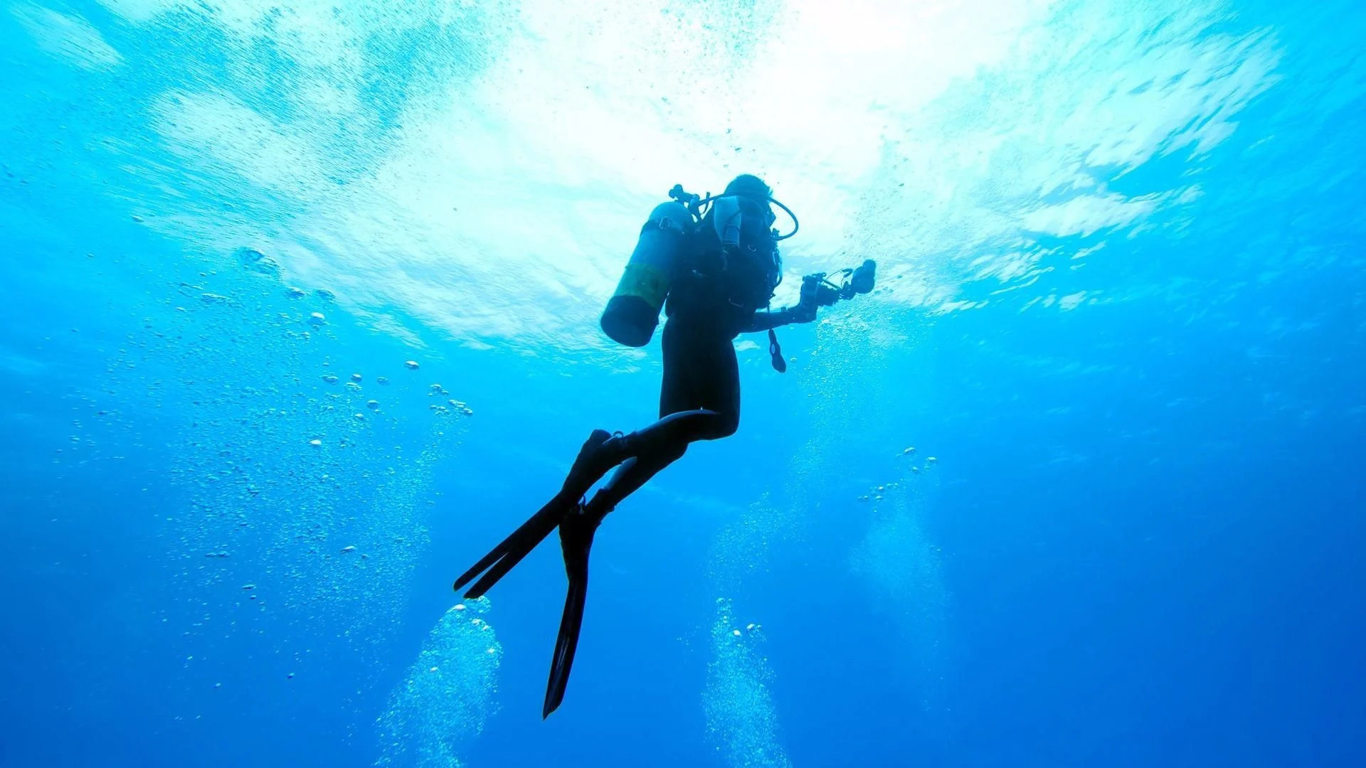 Diver wallpapers, Stunning underwater shots, Diving backgrounds, Oceanic wonders, 1920x1080 Full HD Desktop