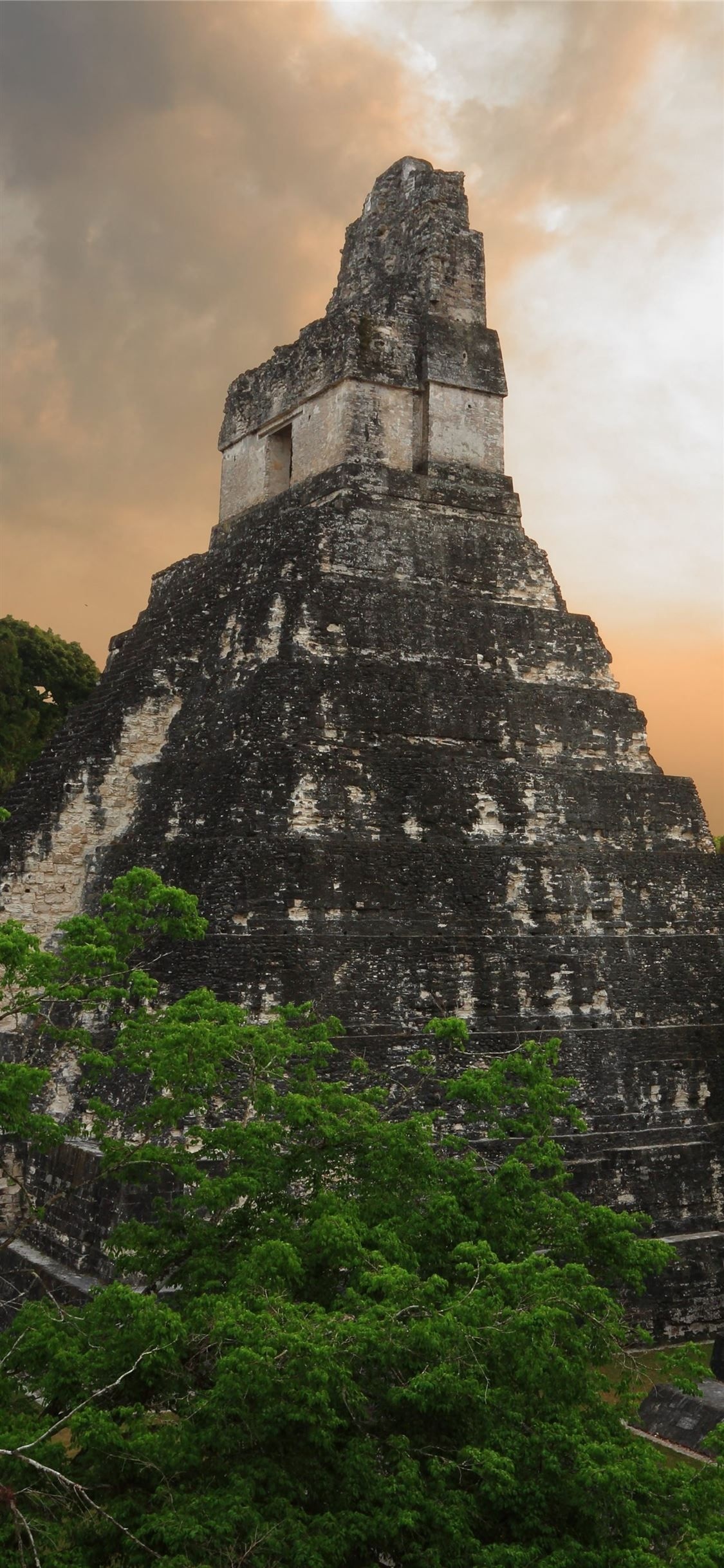 Tikal Guatemala, Sunrise sunset times, Northern Guatemala, Tikal iPhone wallpaper, 1130x2440 HD Phone