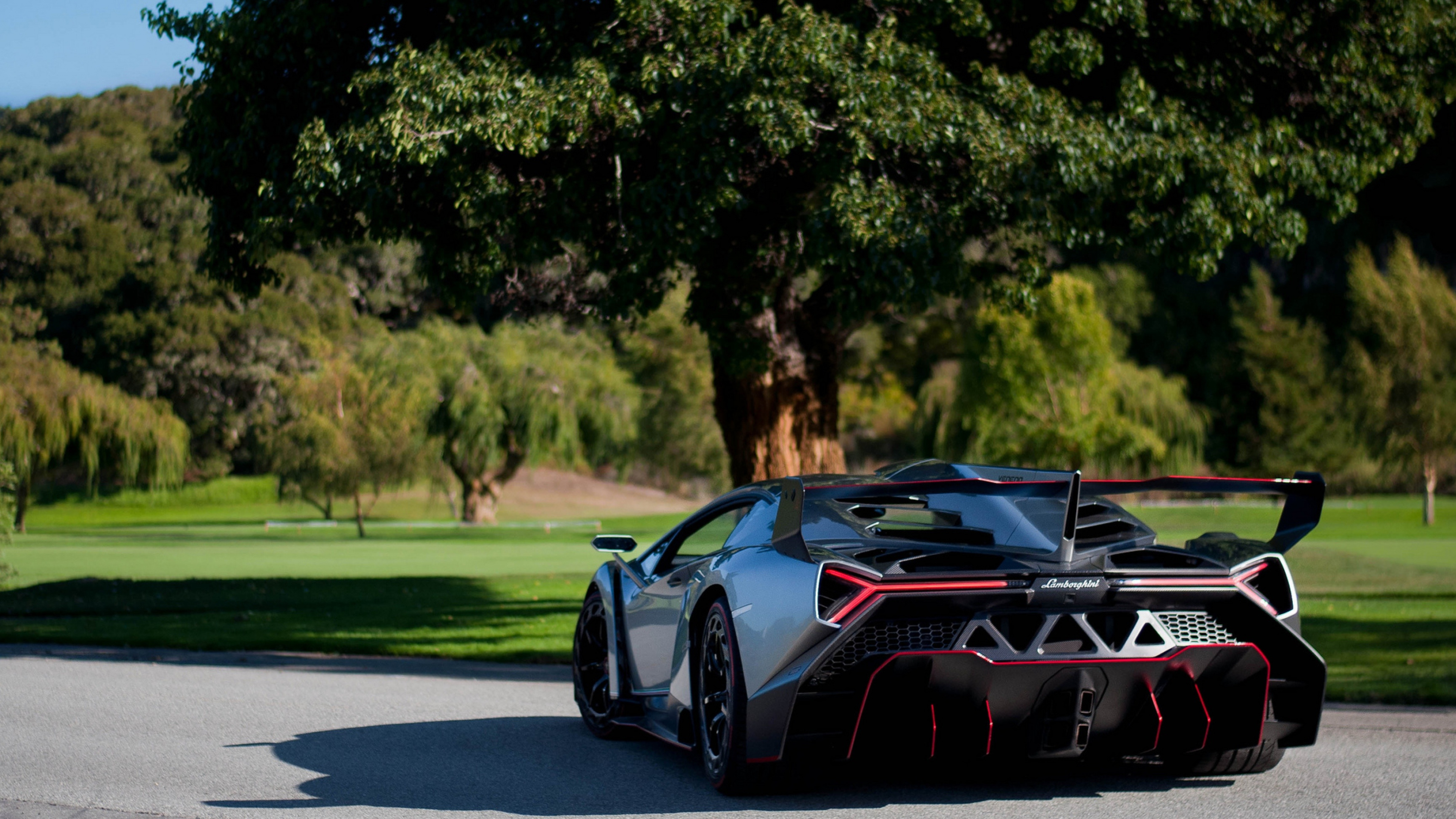 Lamborghini Veneno, Supercar collection, High-performance vehicle, Impressive visuals, 3840x2160 4K Desktop