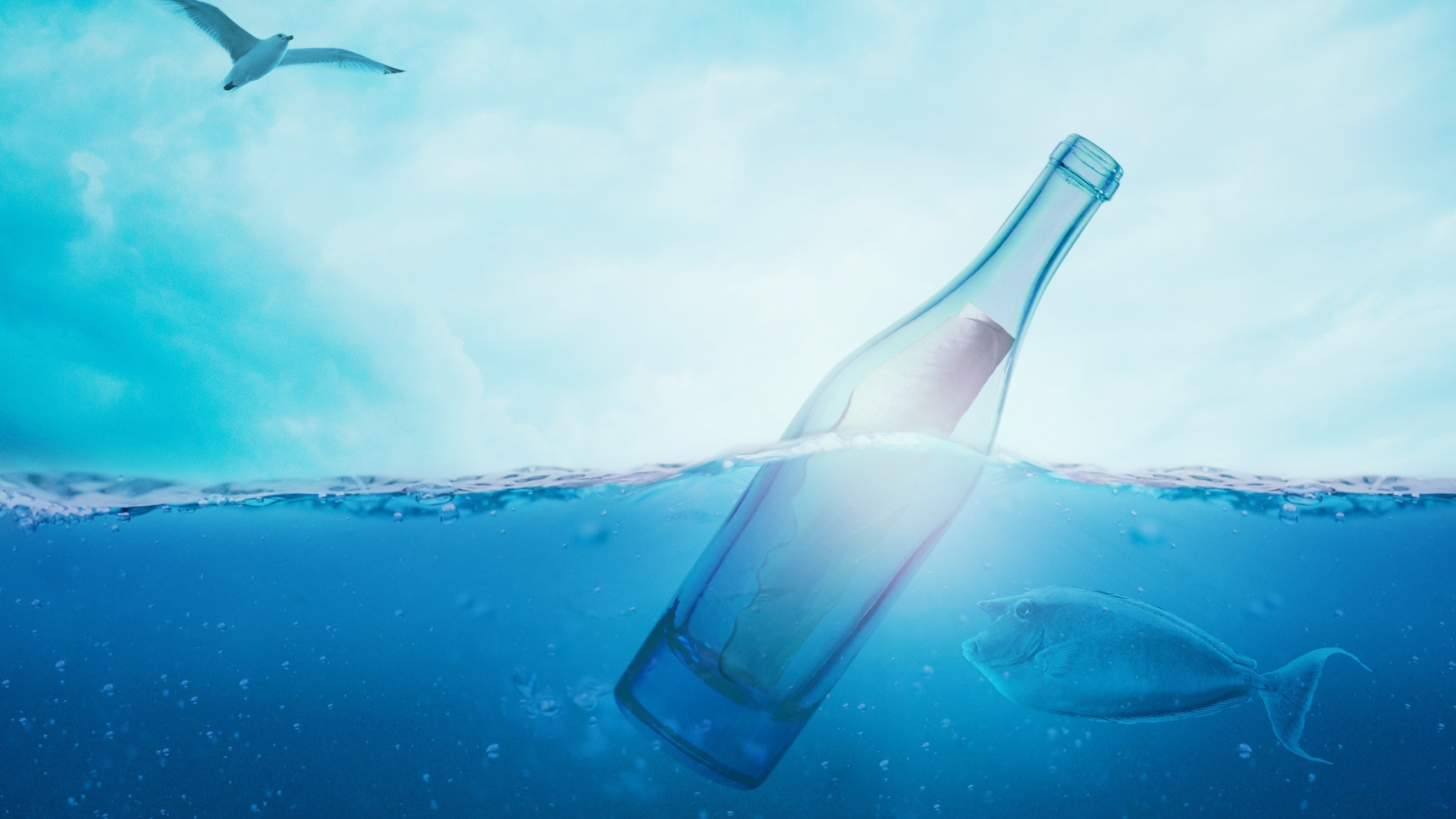 Message in a Bottle: The Greek philosopher Theophrastus used it to study ocean currents. 2560x1440 HD Wallpaper.