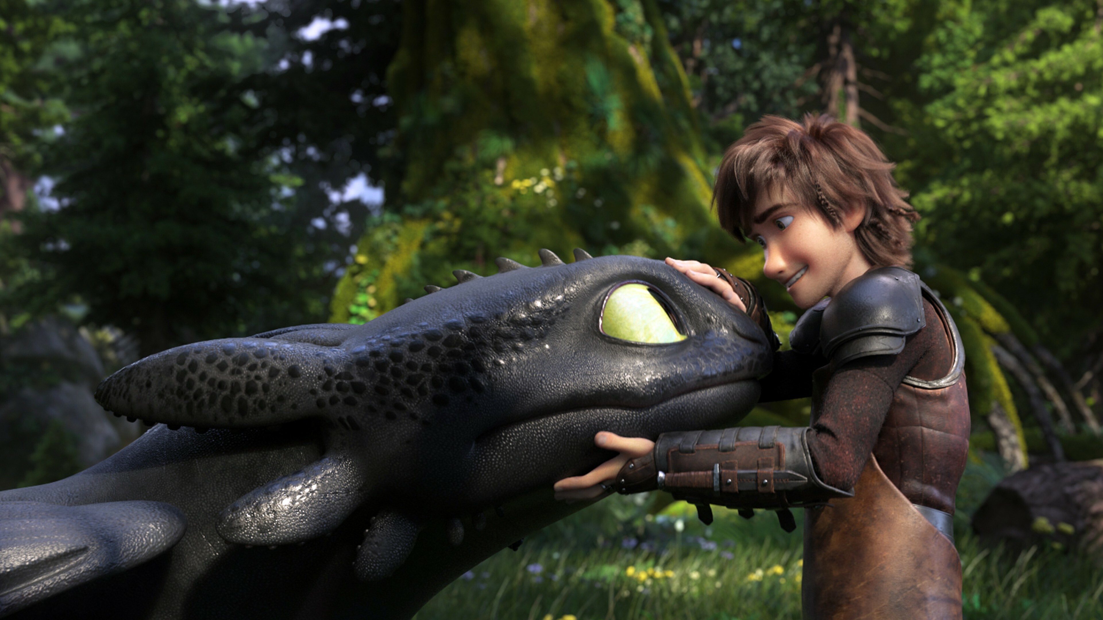 How to Train Your Dragon: Hiccup Horrendous Haddock III, The awkward son of Stoick the Vast. 3840x2160 4K Background.