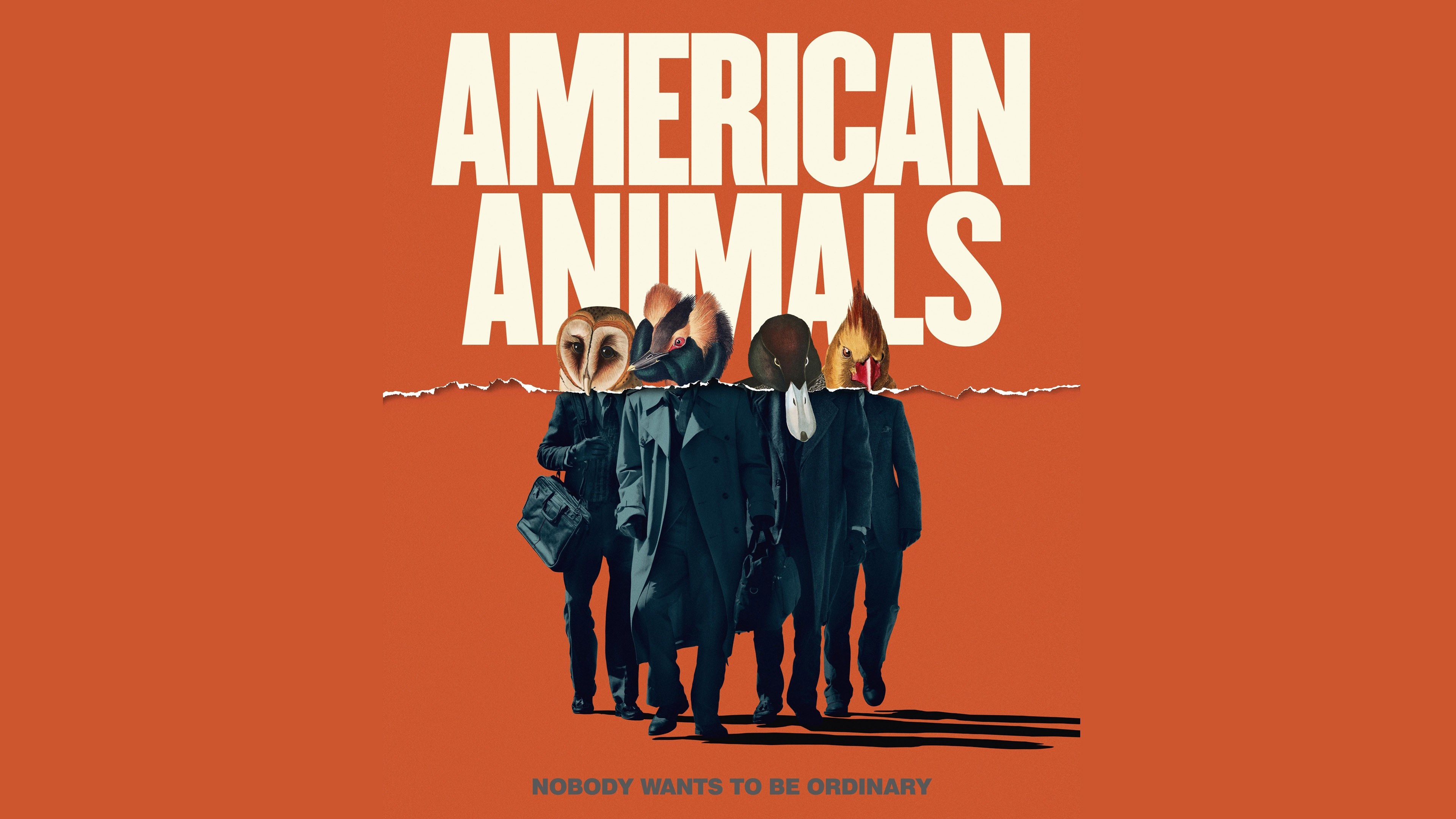 American Animals movie, Ann Dowd, Evan Peters, Barry Keoghan, 3840x2160 4K Desktop