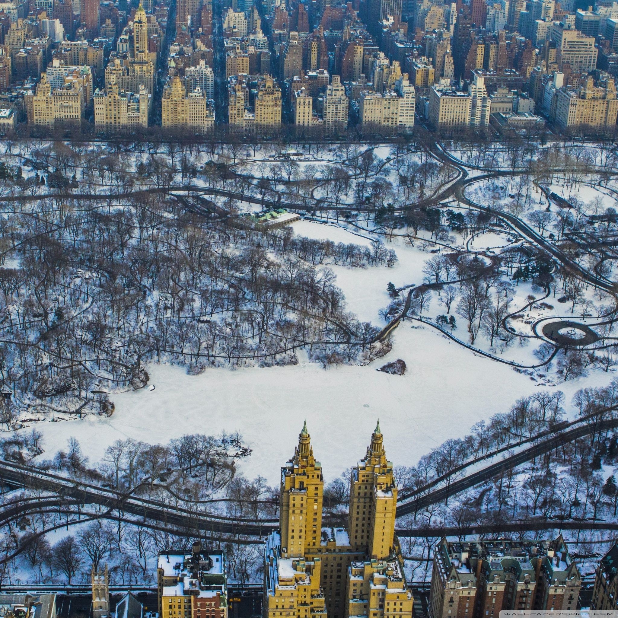 Central Park: Urban green space, New York skyline. 2050x2050 HD Background.