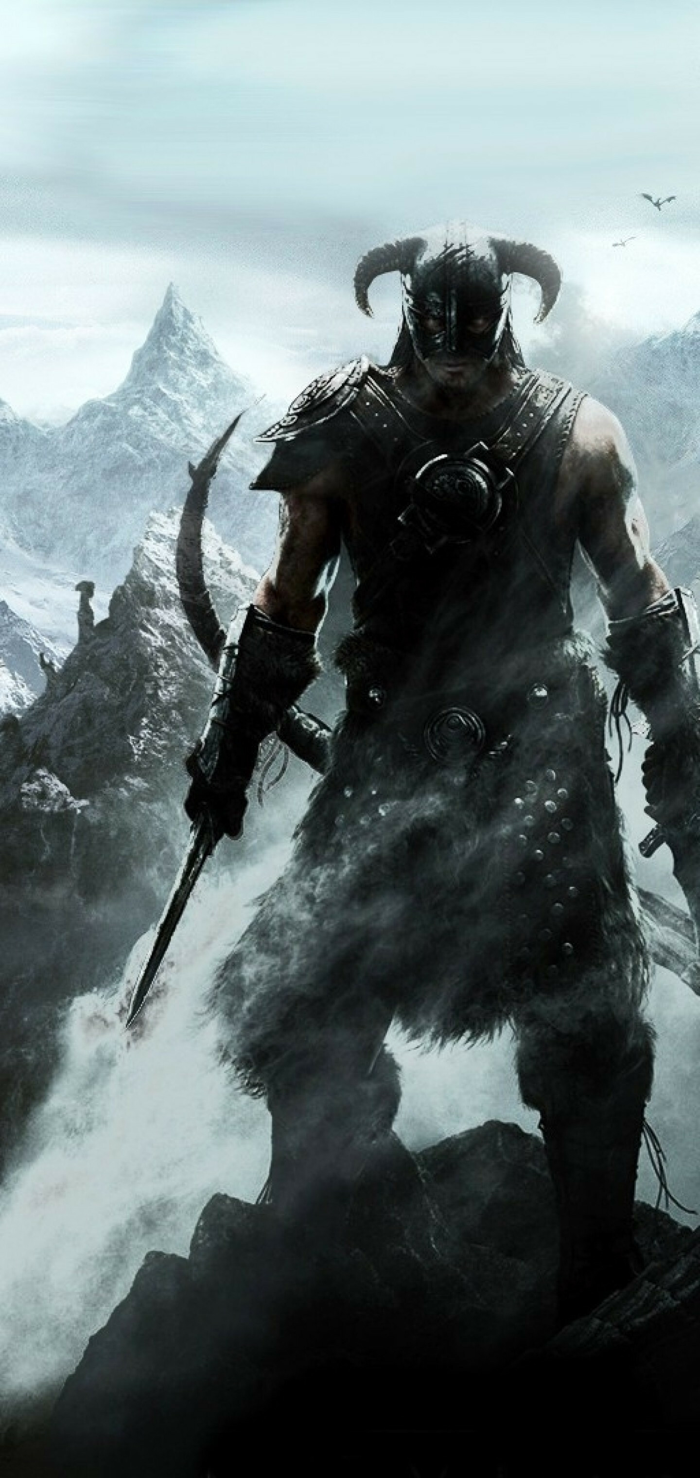 Skyrim: A single-player role-playing video game developed by Bethesda Game Studios. 1440x3040 HD Wallpaper.