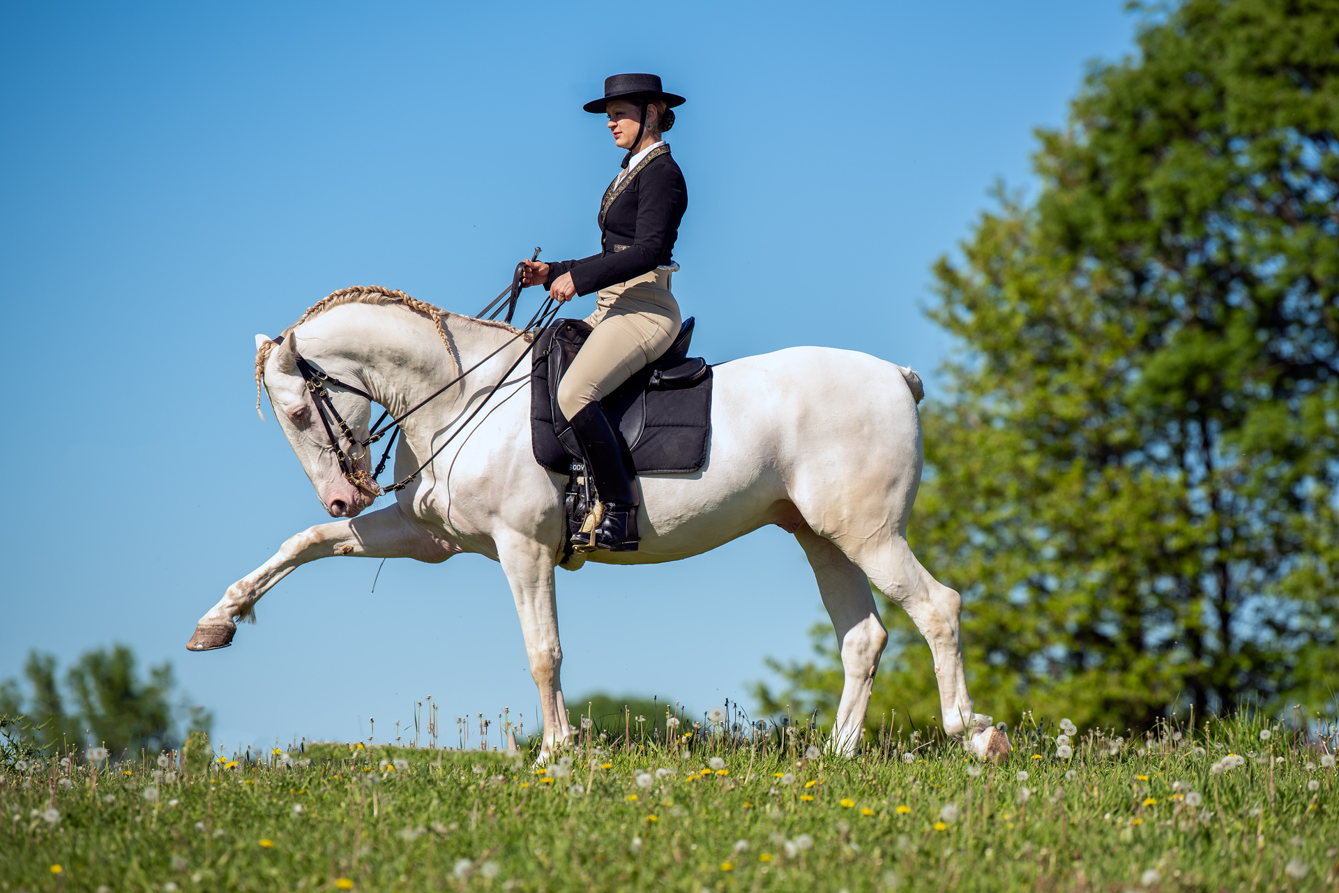 Equitation: Saddle seat style of equestrian activity, A traditional English style of horse riding. 1920x1280 HD Wallpaper.