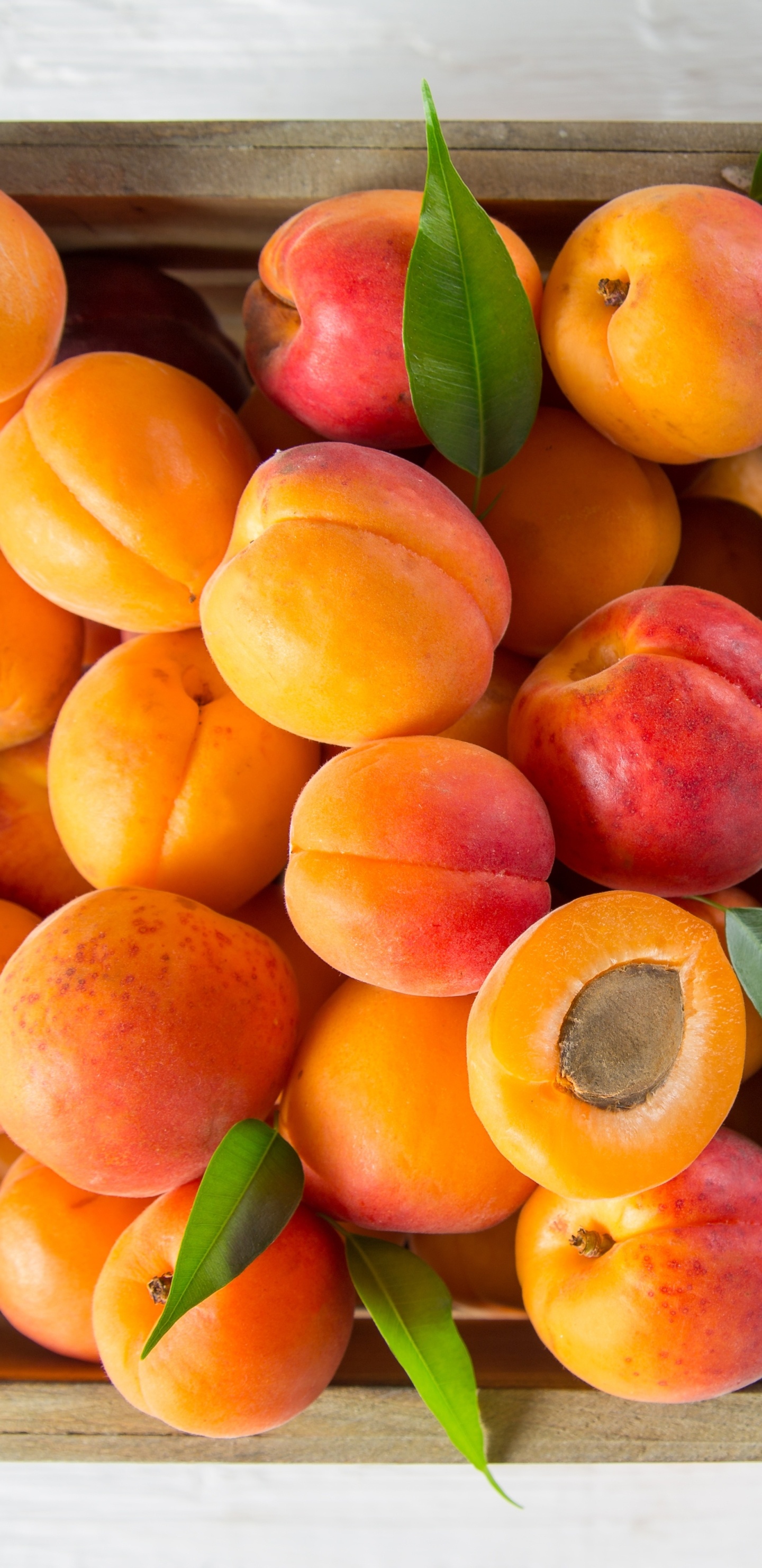 Apricot, Nutrient-rich, Summertime delight, Stone fruit, 1440x2960 HD Phone