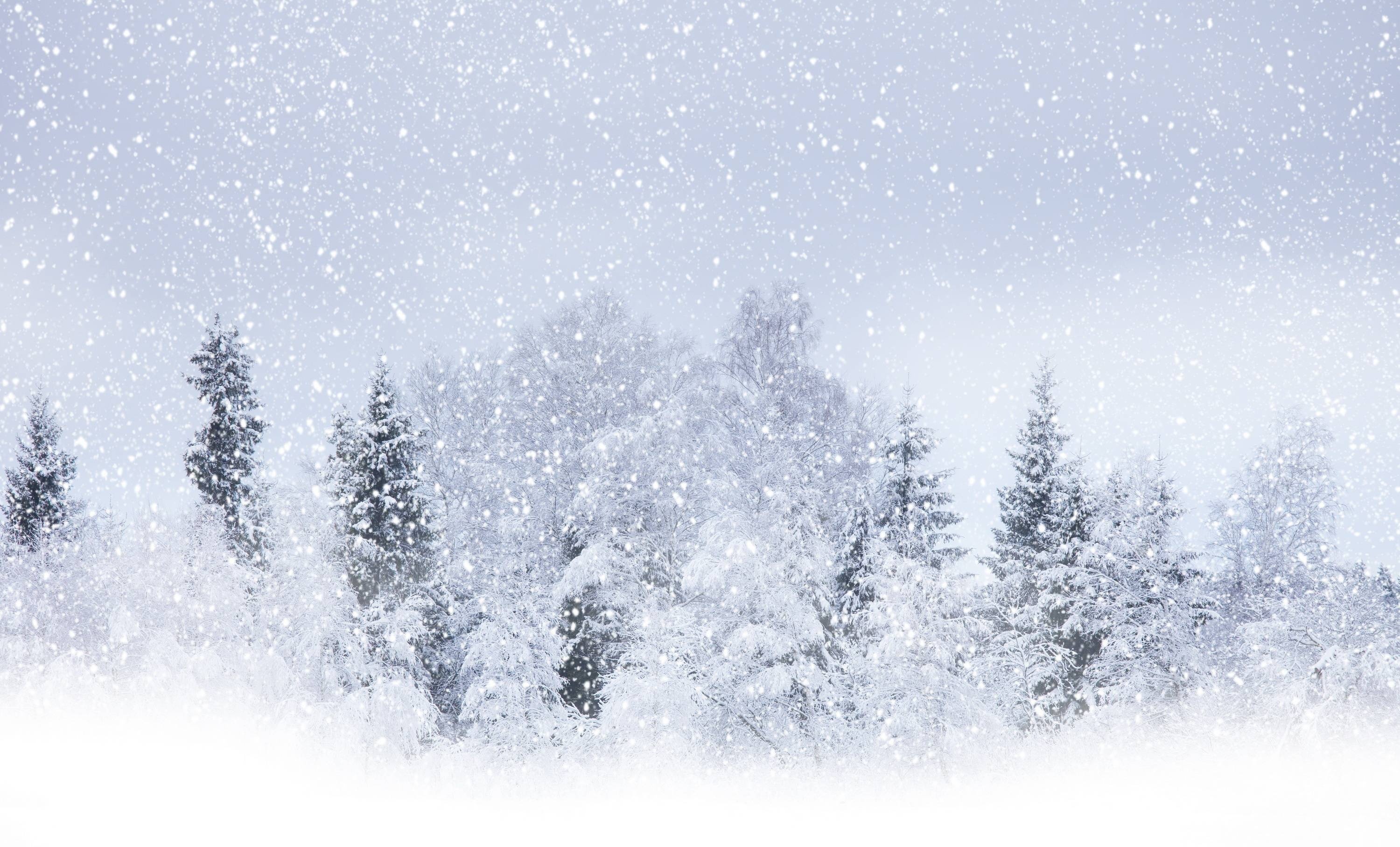 Snowy enchantment, Frozen landscape, Winter's grip, Chilled beauty, 3000x1820 HD Desktop