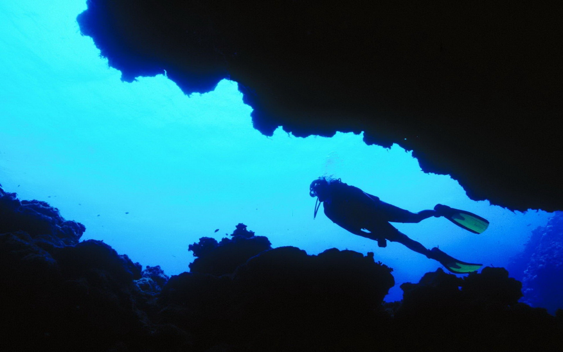 Diving: Scuba diver explores an underwater landscape along with marine biology. 1920x1200 HD Background.