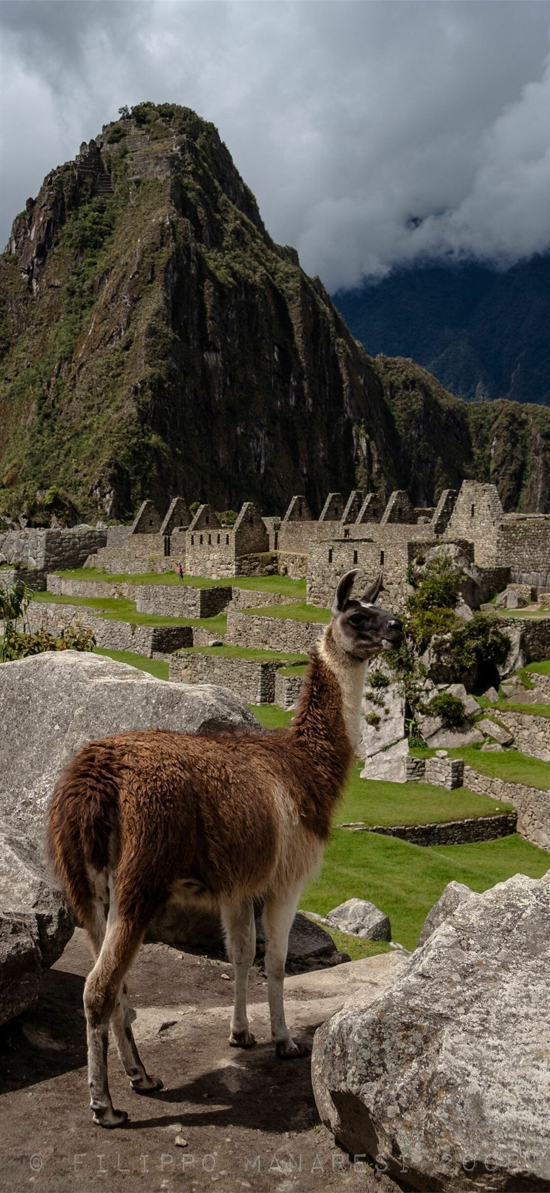 Machu Picchu: The eastern slopes of the Andes, Archeological site. 1130x2440 HD Background.