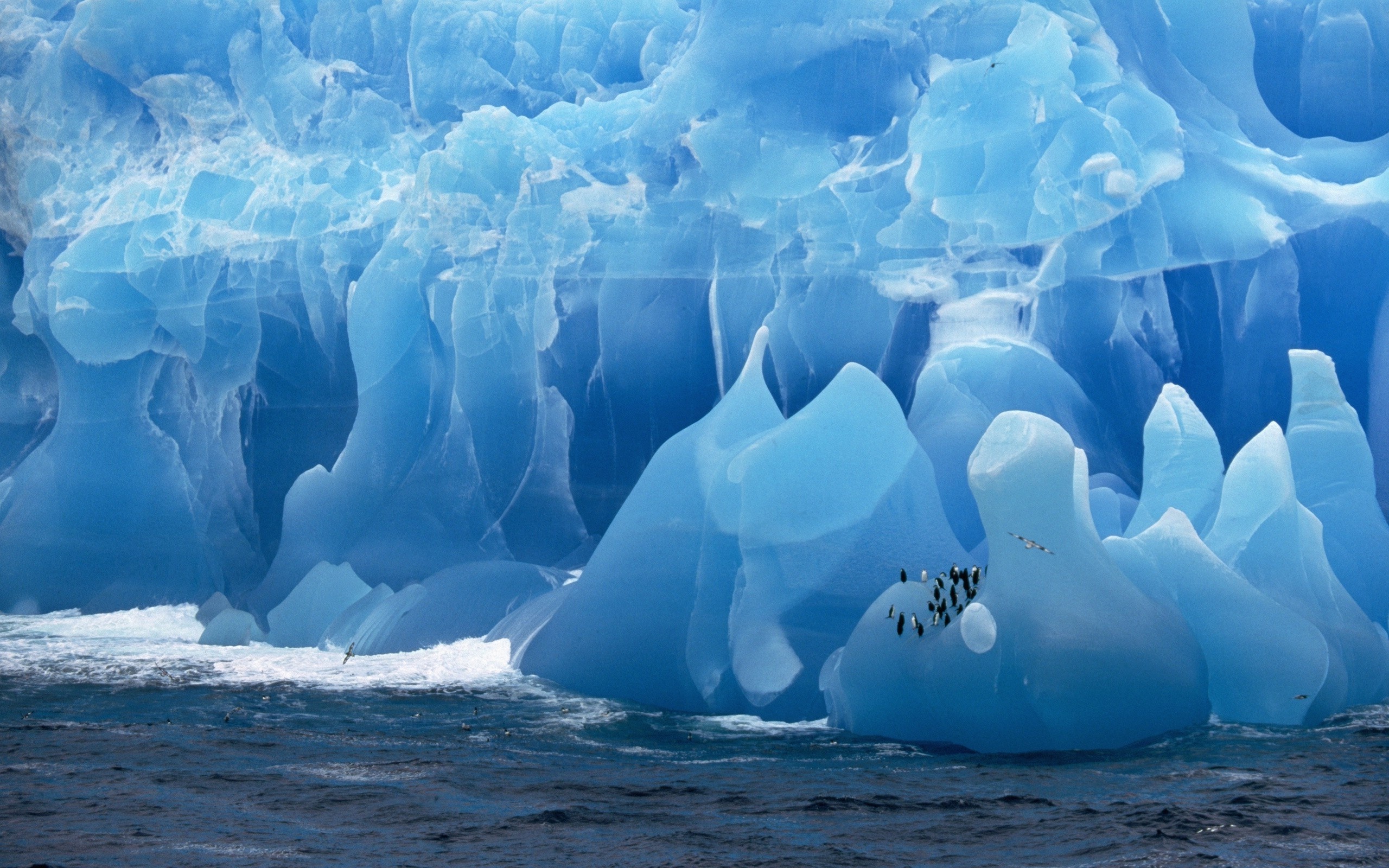 Antarctica Travels, HD wallpaper, Nature's charm, Spectacular scenery, 2560x1600 HD Desktop