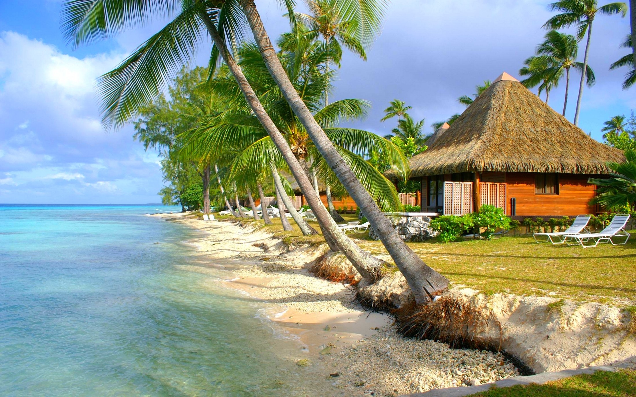 Rangiroa Atoll, Sea house hotel, French Polynesia, Palm, 2200x1380 HD Desktop