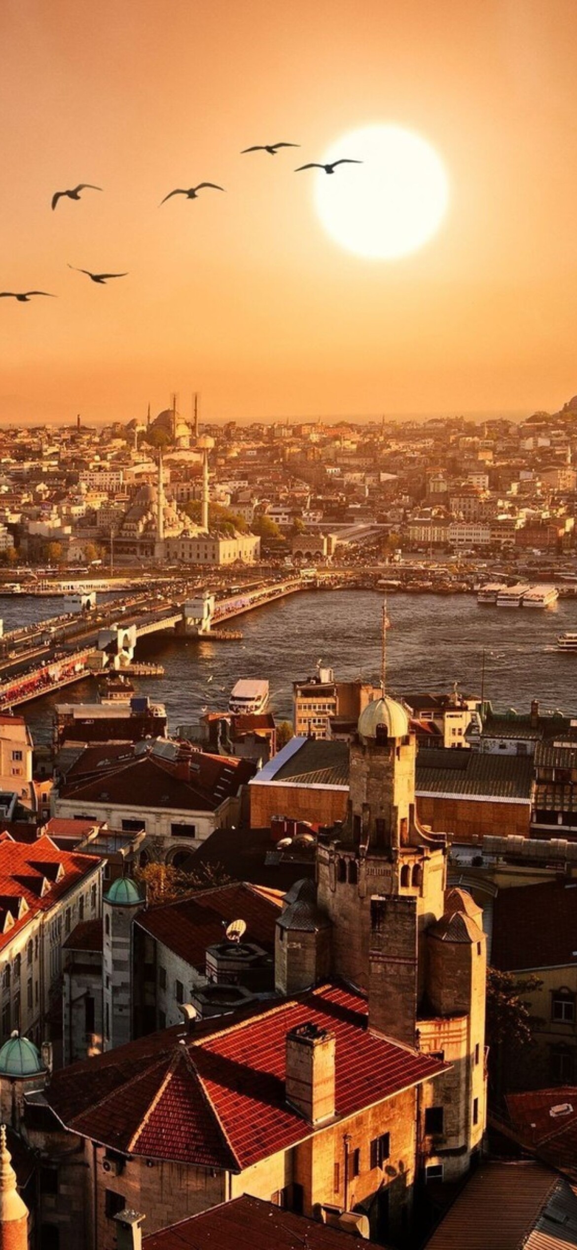 Turkey: Istanbul straddles the Bosporus strait, Urban landscape, Megapolis. 1170x2540 HD Background.