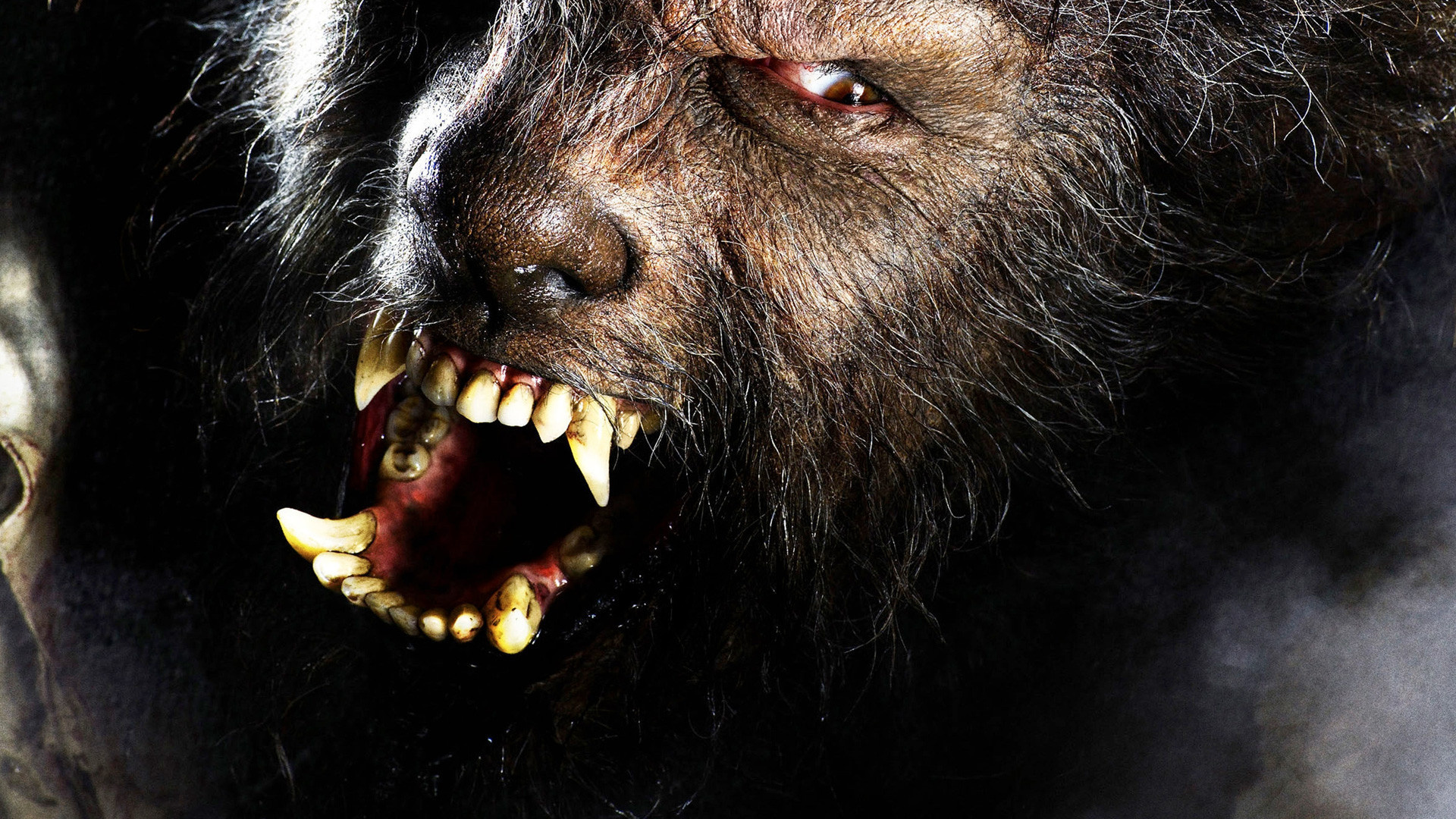 The Wolfman dark werewolf, Atmospheric wallpaper, Gothic horror, Mysterious creature, 1920x1080 Full HD Desktop