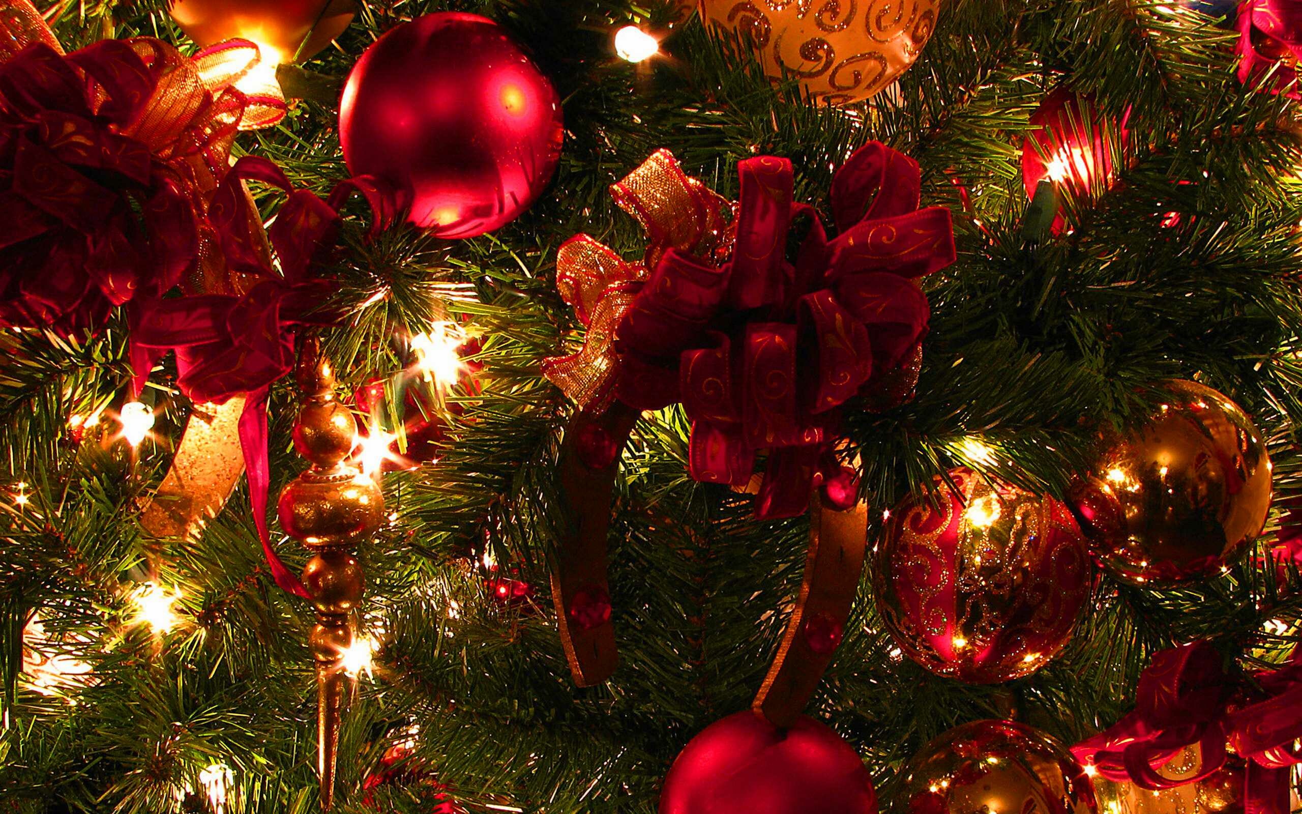 Christmas: Wreath decoration, Fir tree branch, Balls. 2560x1600 HD Wallpaper.