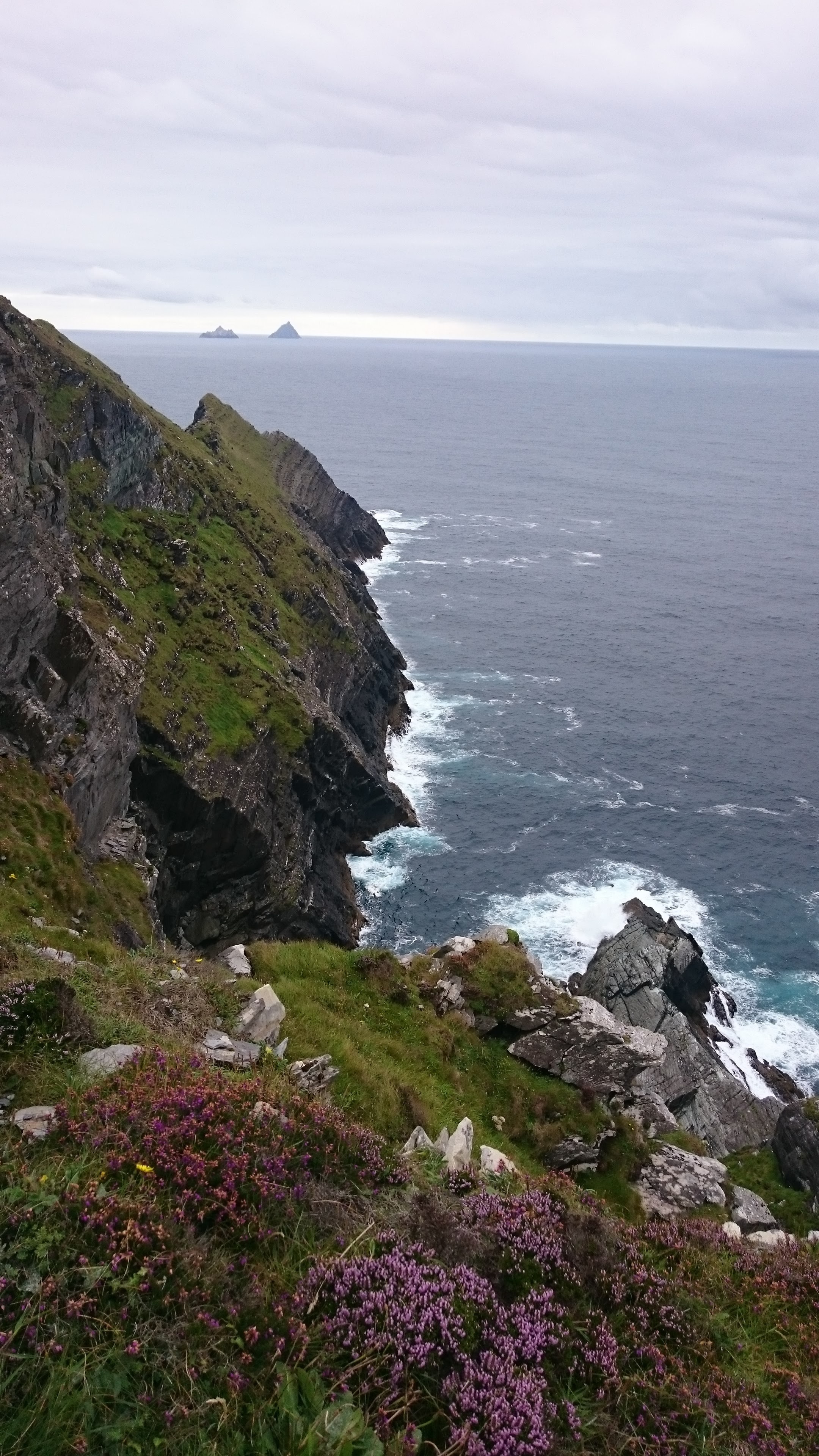 Skellig View, Bluebell rose, Kerry cliffs, Guest suites, 2160x3840 4K Handy
