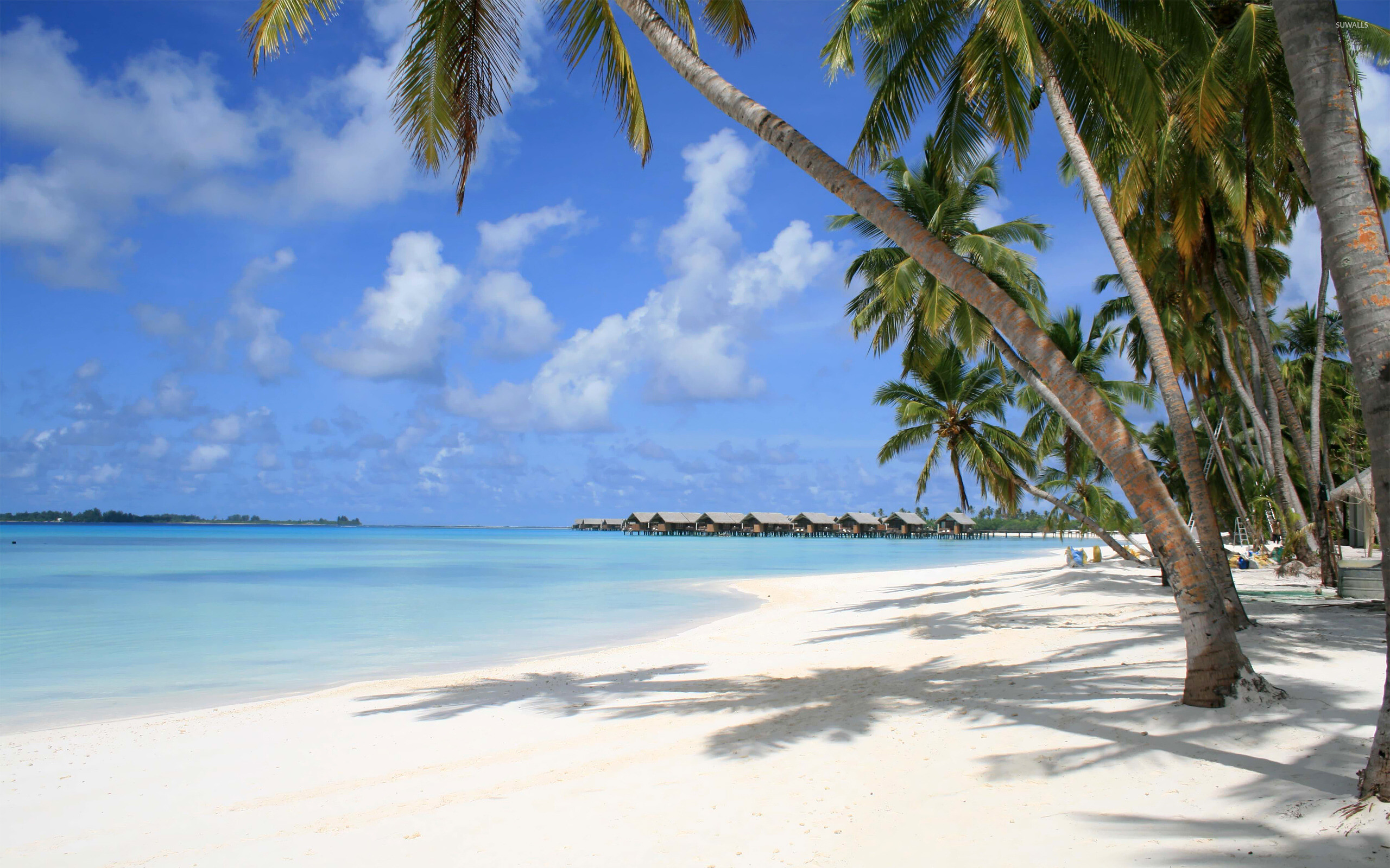 Maldives 13 wallpaper, Beach paradise, Stunning views, Tropical escape, 2560x1600 HD Desktop