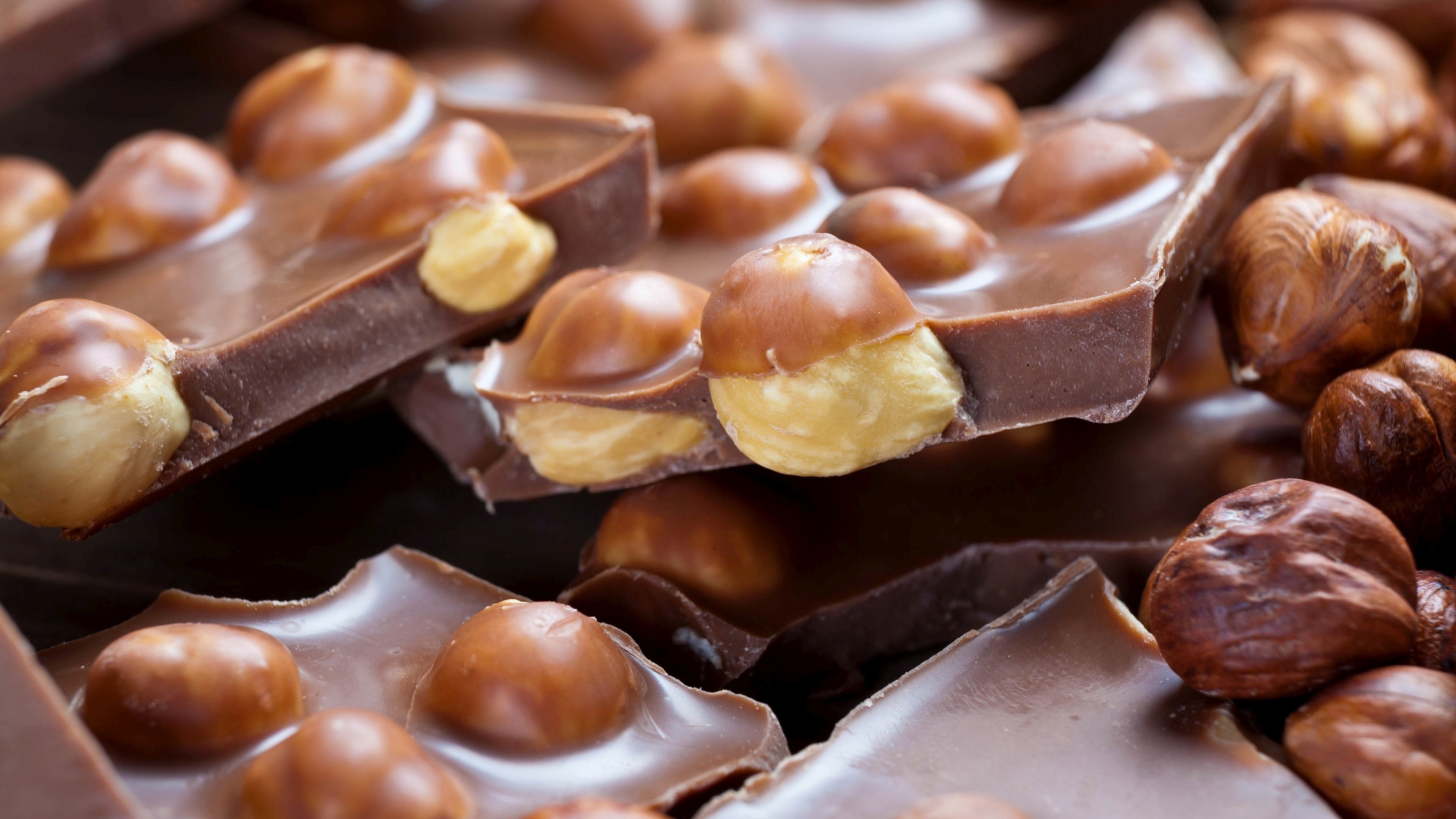 Hazelnuts: Milk chocolate with filberts, Oregon’s official State Nut since 1989. 3840x2160 4K Background.