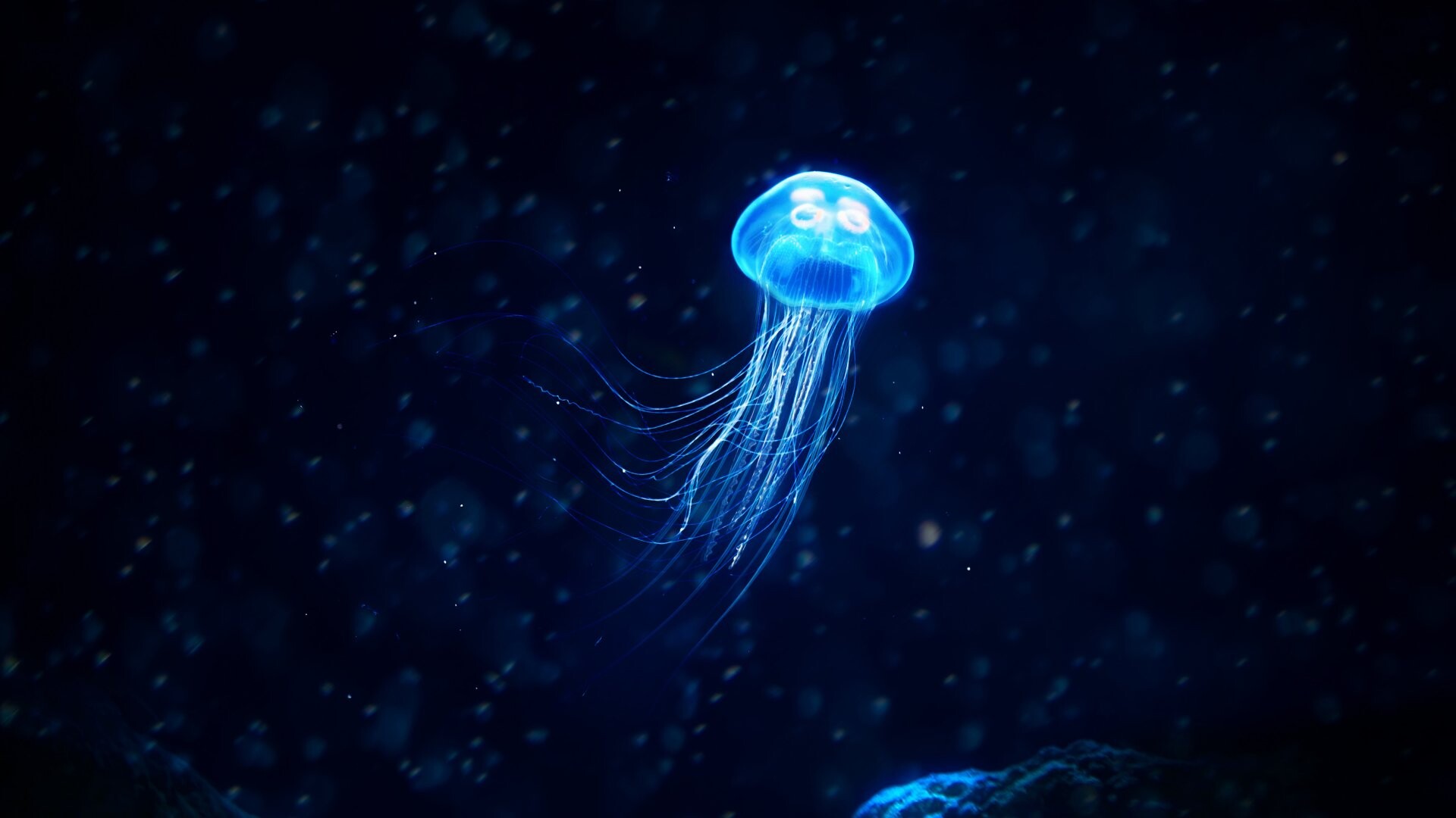 Glowing Jellyfish: Glowing free-swimming marine animal, Umbrella-shaped bells and trailing tentacles. 1920x1080 Full HD Background.