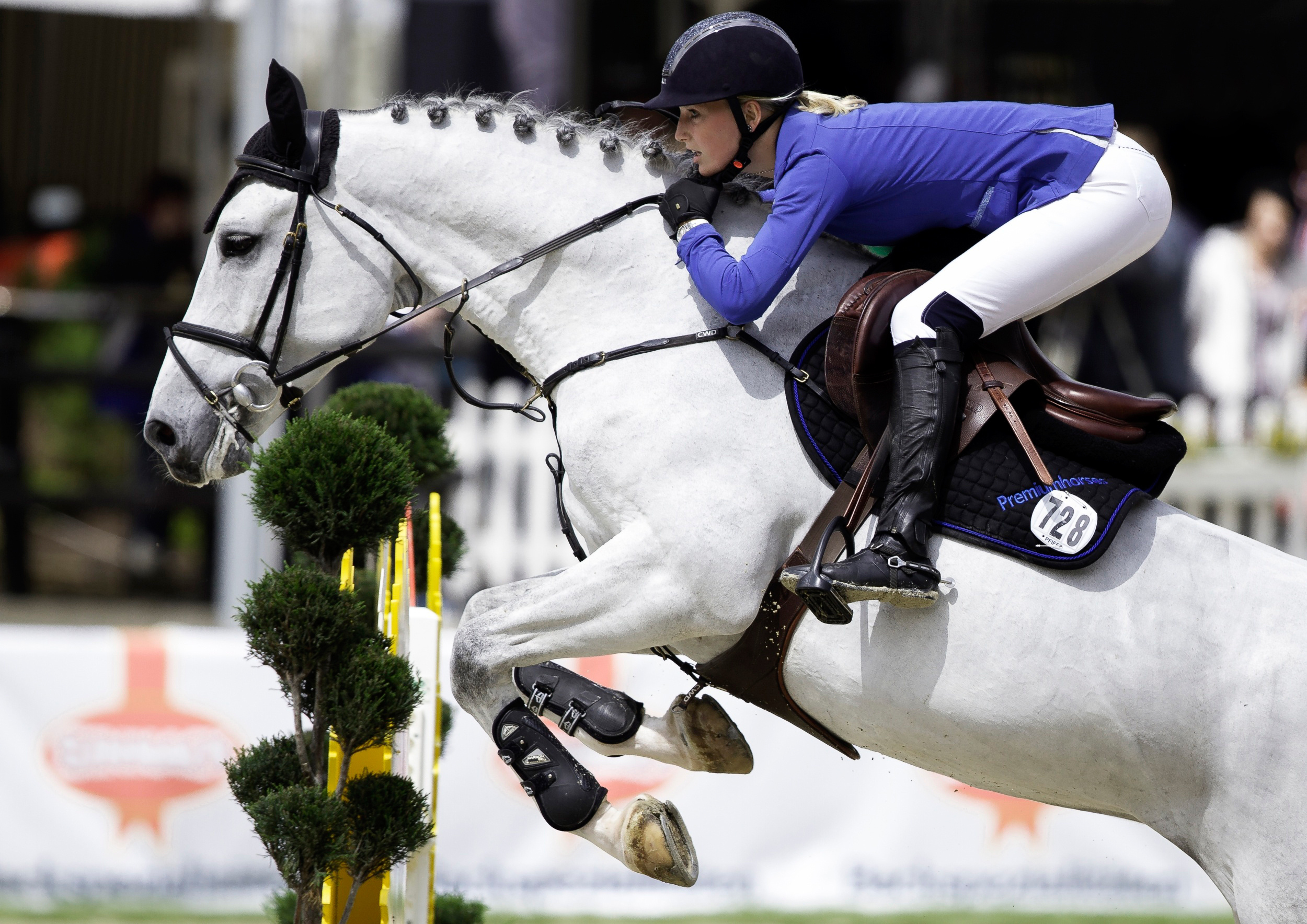 Equitation: Show jumping, Official Olympic sport and a popular outdoor recreational activity. 2500x1770 HD Background.