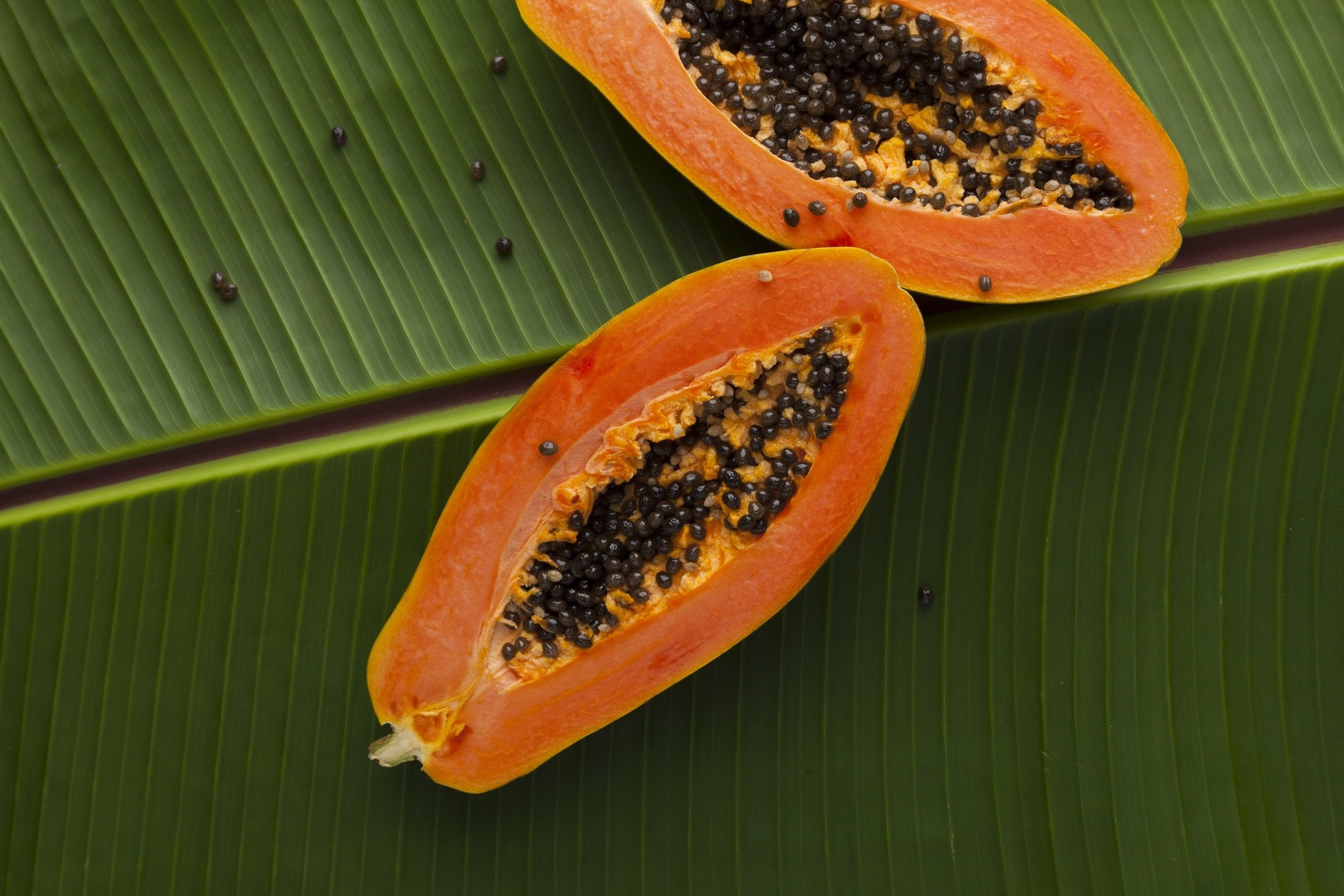 Papaya: An excellent source of vitamin C. 2450x1640 HD Wallpaper.