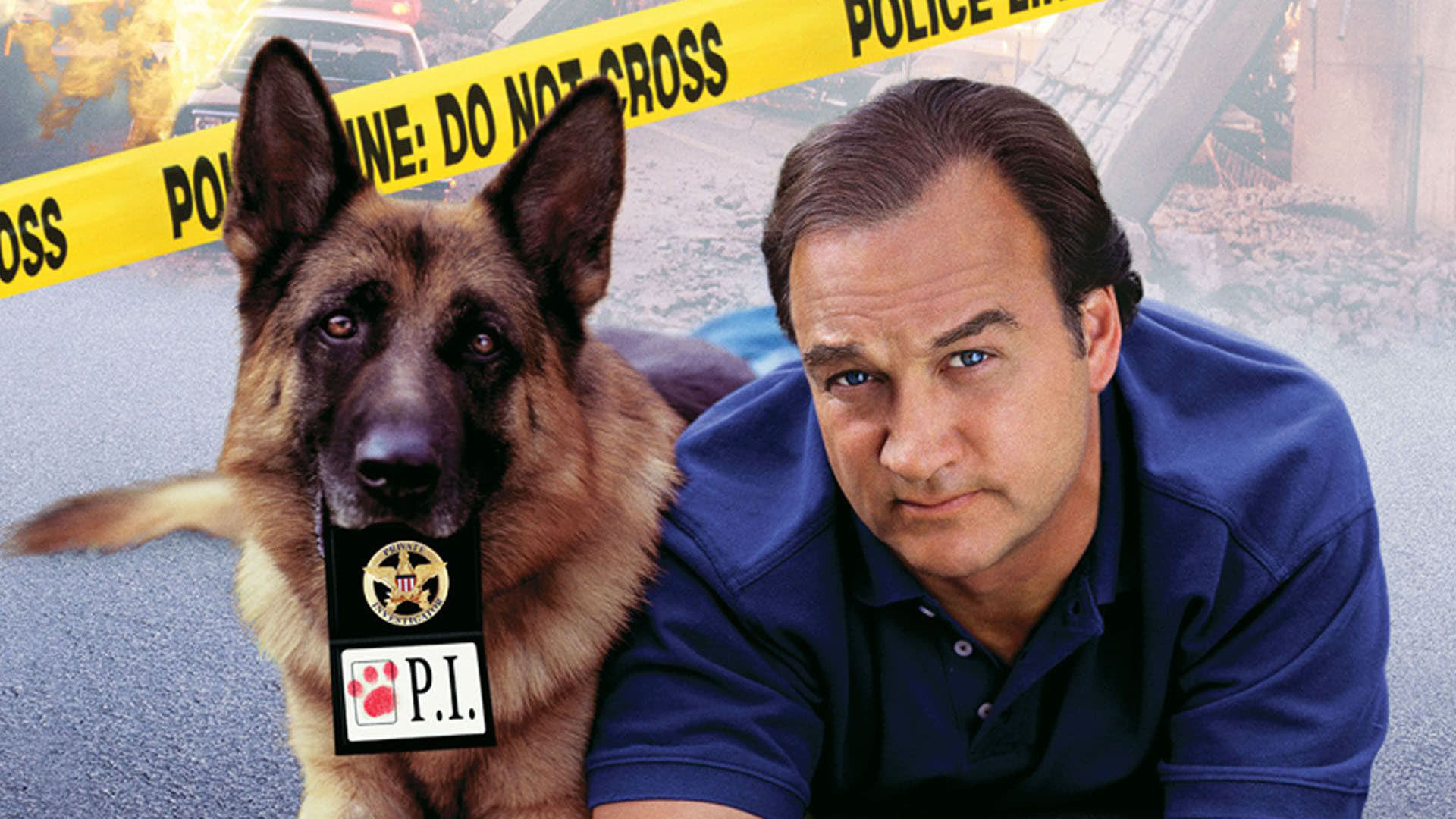 K-9 movie backdrops, Buddy cop duo, Action-packed storyline, Crime-fighting pair, 1920x1080 Full HD Desktop