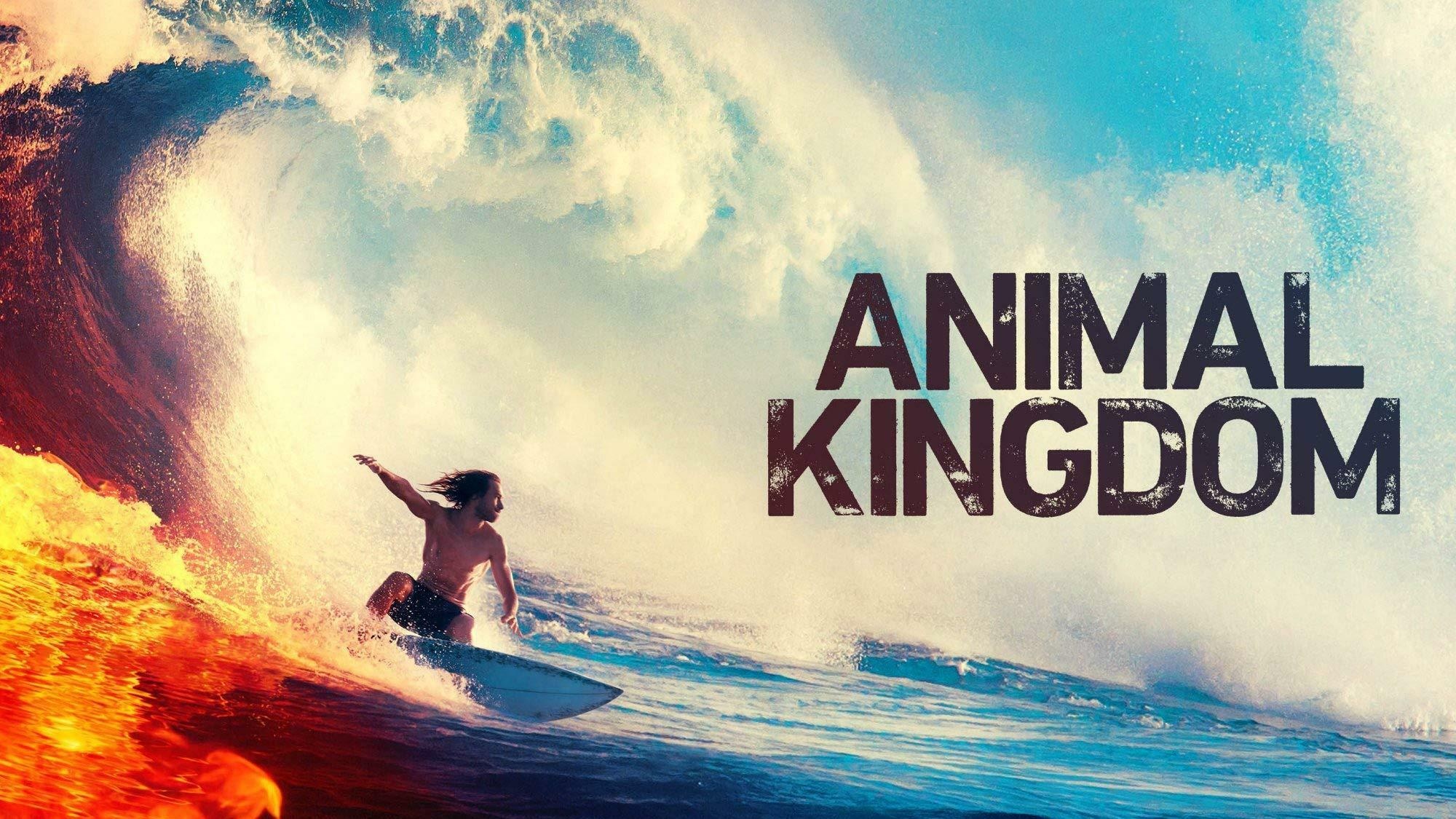 Animal Kingdom, Start der 4 Staffel, Joyn Primetime, 2000x1130 HD Desktop