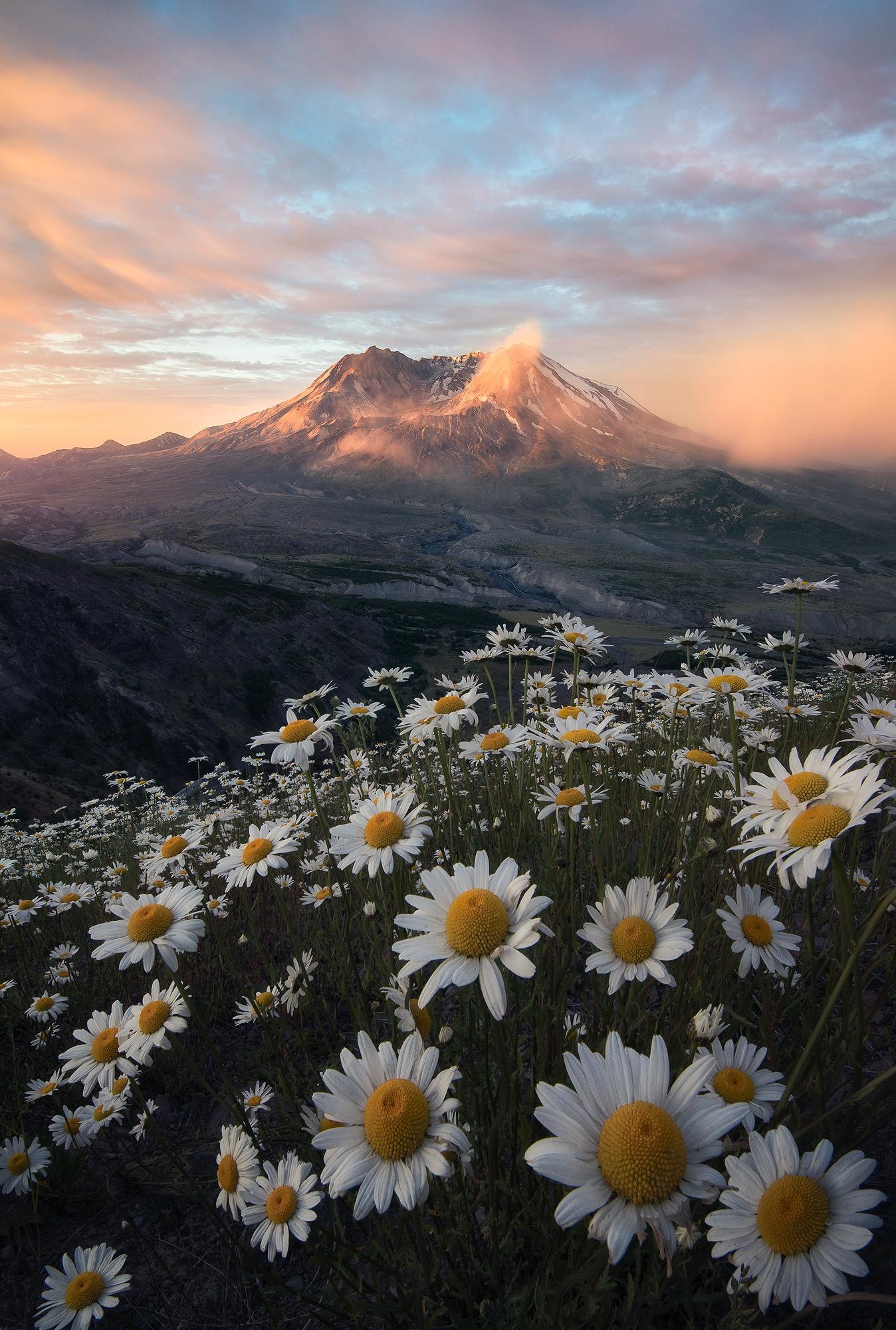Mount St. Helens, Beautiful sunrise, Rosssvhphoto, Earthporn, 1350x2000 HD Phone
