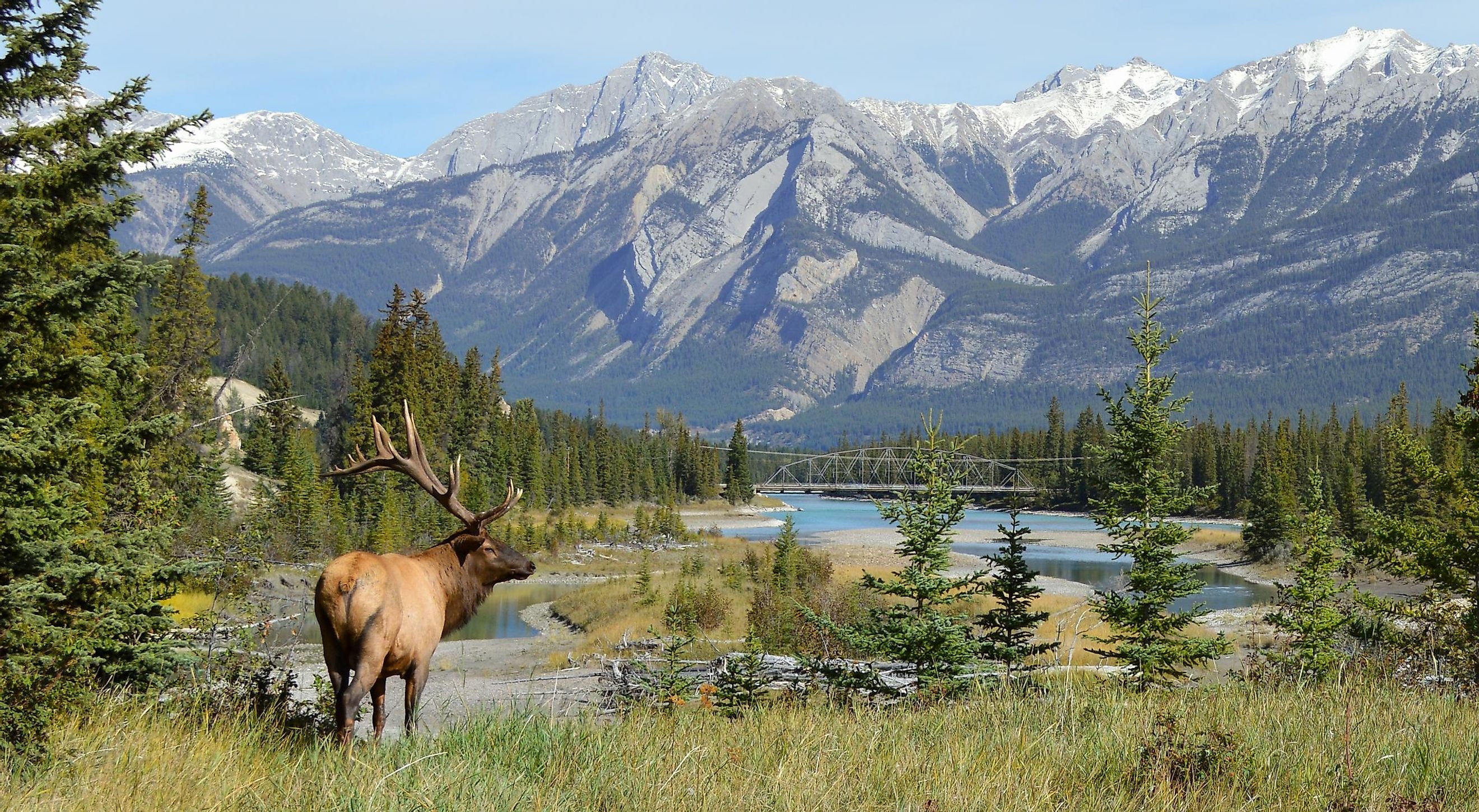 Jasper National Park, Canadian wilderness, Nature preservation, Bucket-list destination, 2640x1450 HD Desktop