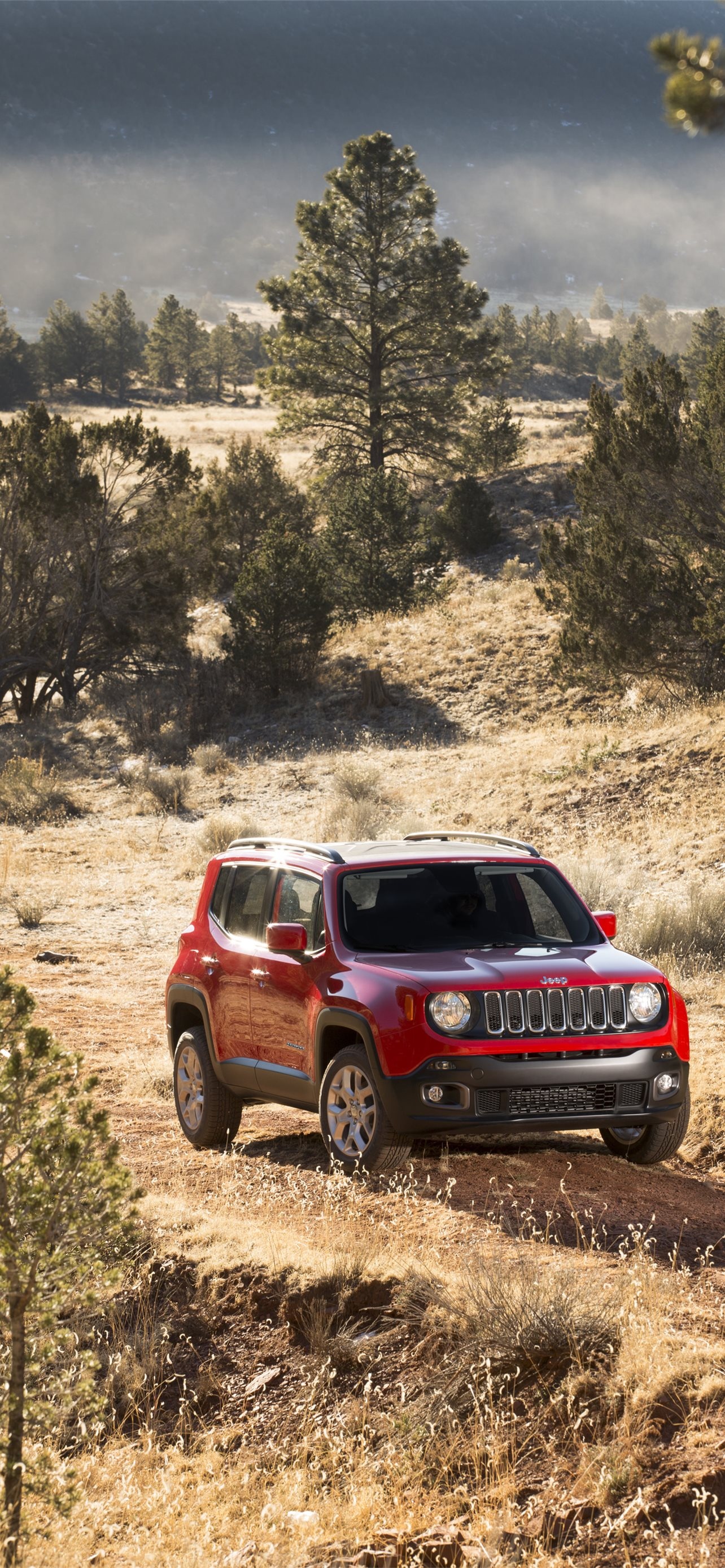 Jeep Renegade, iPhone wallpapers, Free download, Stylish design, 1290x2780 HD Handy