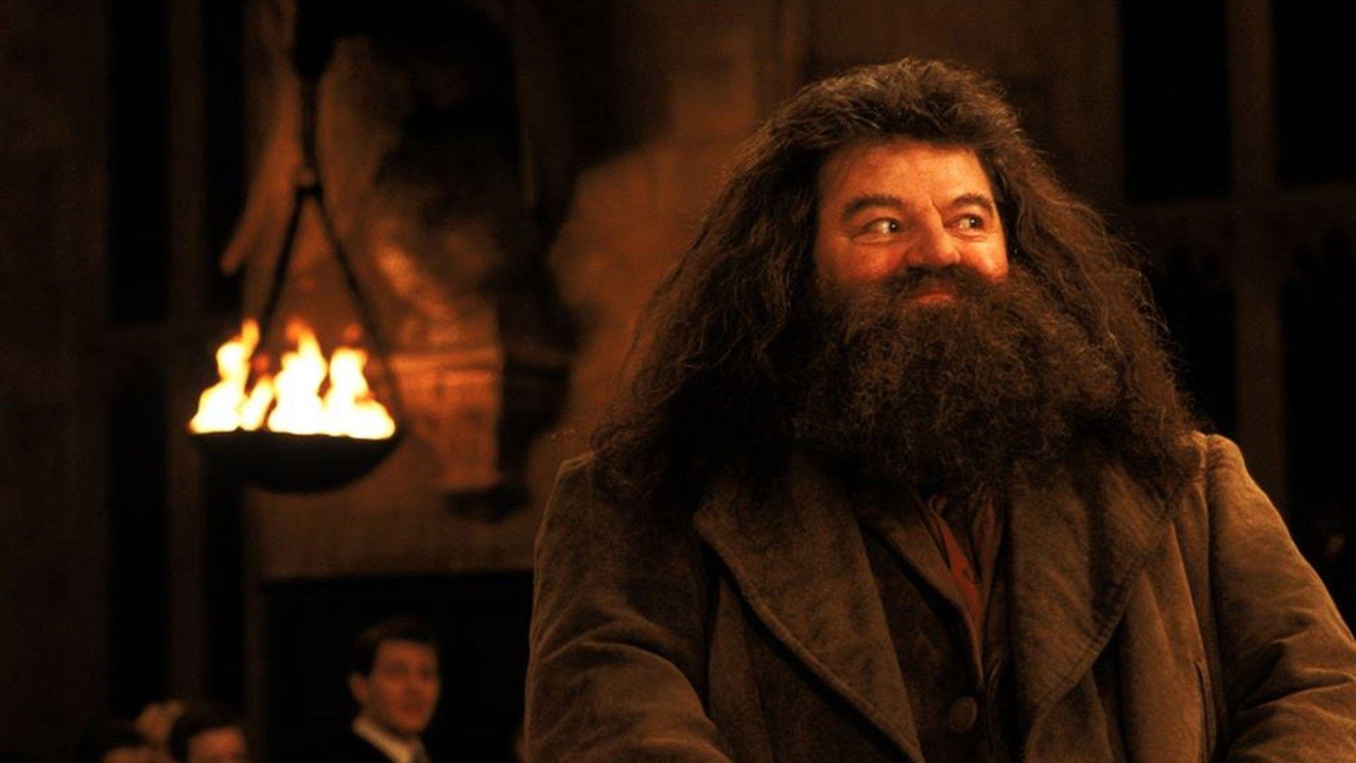 Hagrid, Bearded giant, Keeper of secrets, Unconditional loyalty, 1920x1080 Full HD Desktop