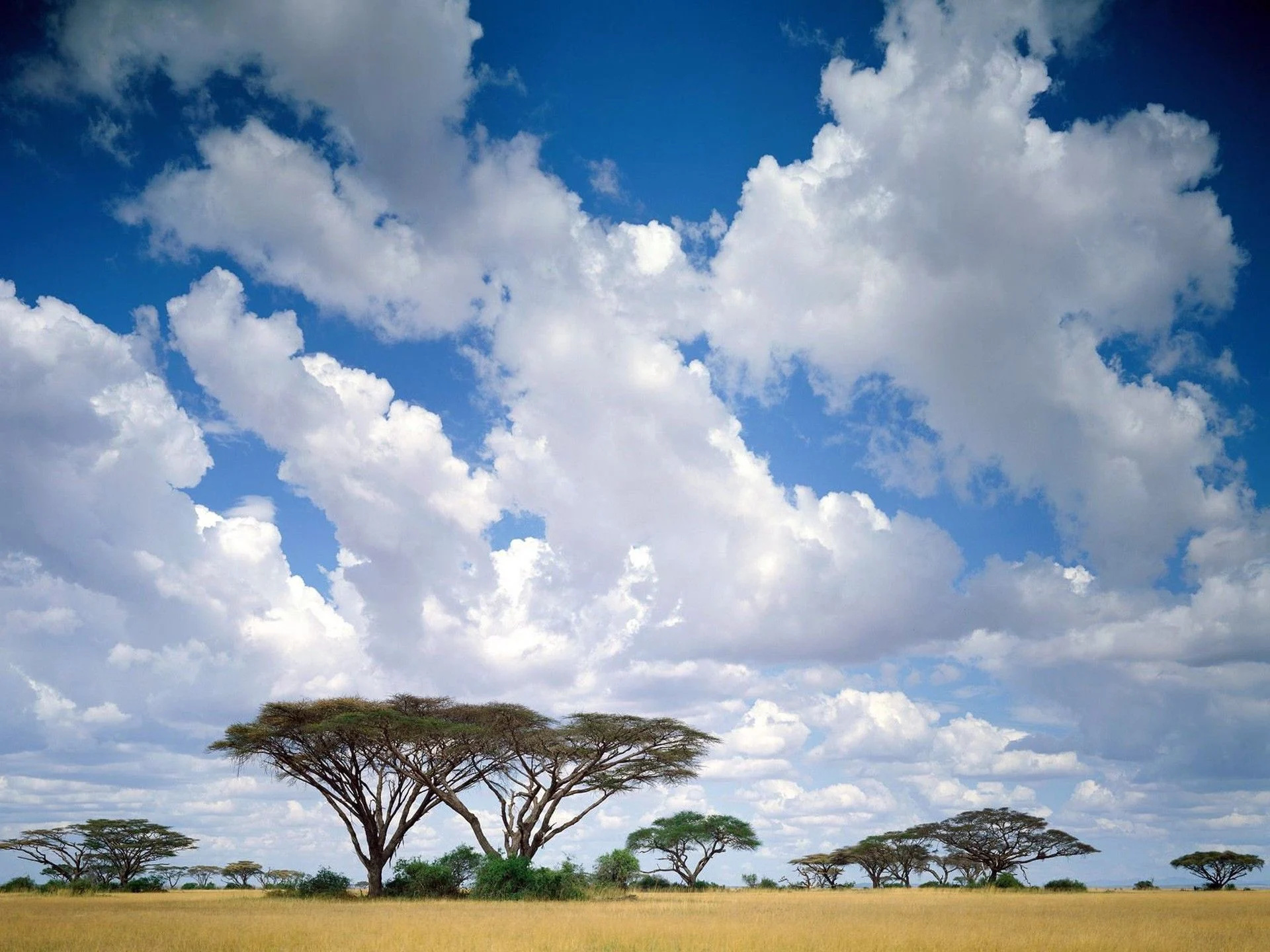 Traumhafte Masai Mara Landschaften, 1920x1440 HD Desktop