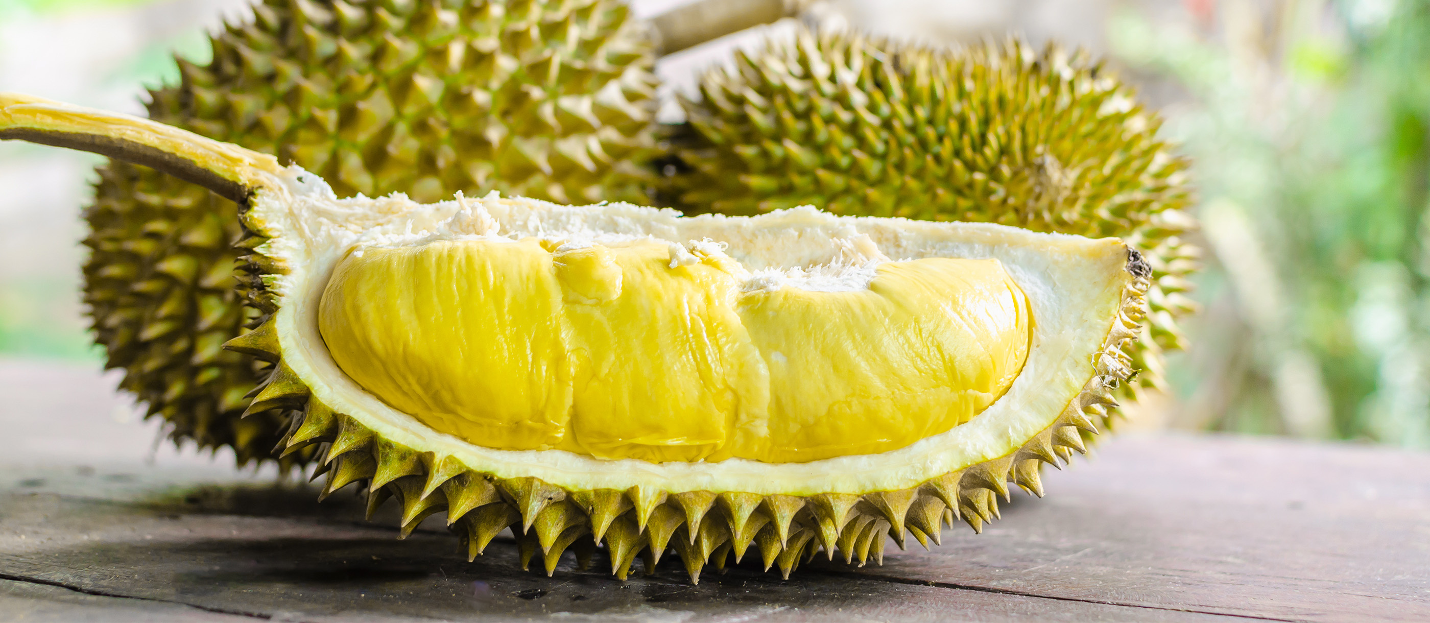 Durian: Local Tropical Fruit From Indonesia, Southeast Asia. 2800x1220 Dual Screen Background.