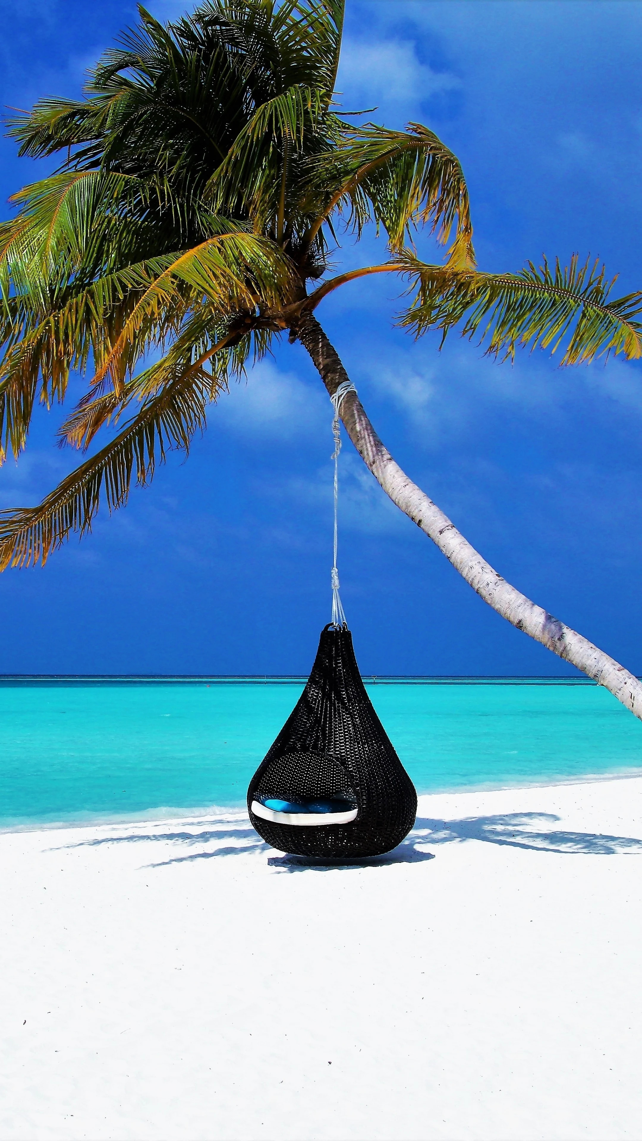 Tonga travels, Palm tree island, Popular backgrounds, Tropical paradise, 2160x3840 4K Phone