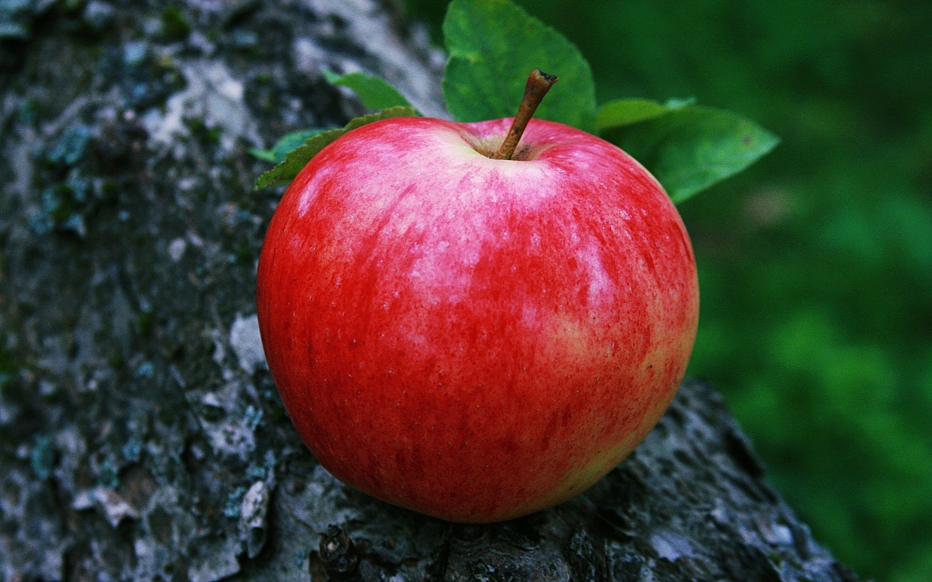 Apple (Fruit): An important source of antioxidants, Natural foods. 1920x1200 HD Background.