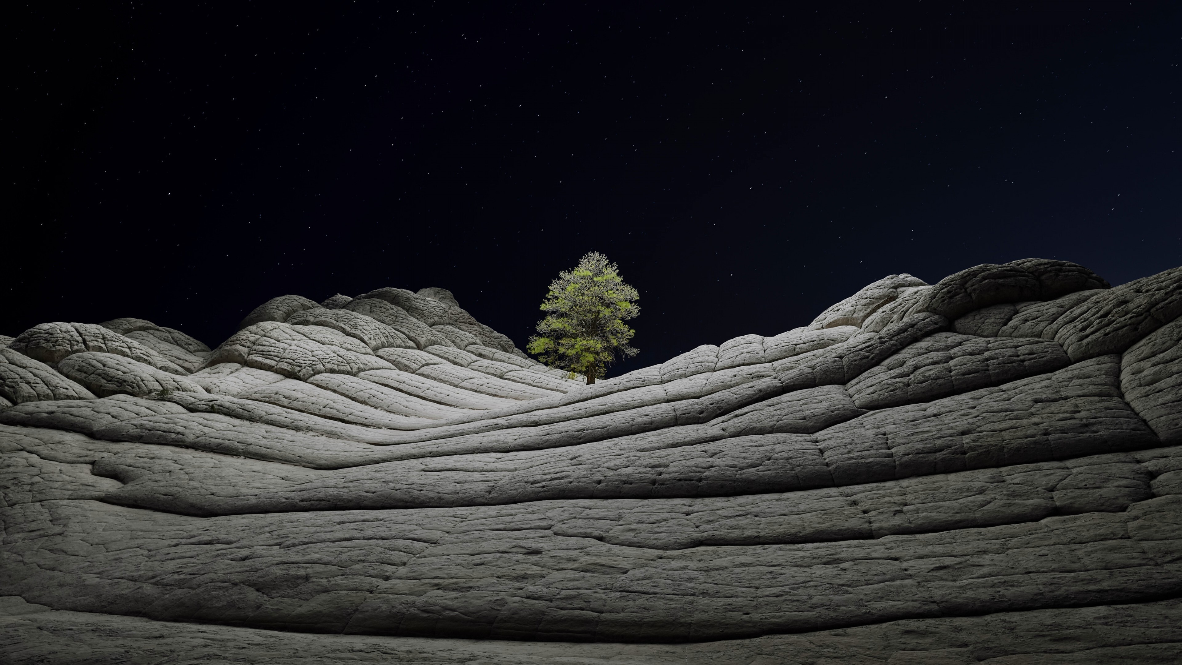 Geology: Desert, Tree, Night, Rock, A landform that extends above the surrounding terrain. 3840x2160 4K Wallpaper.