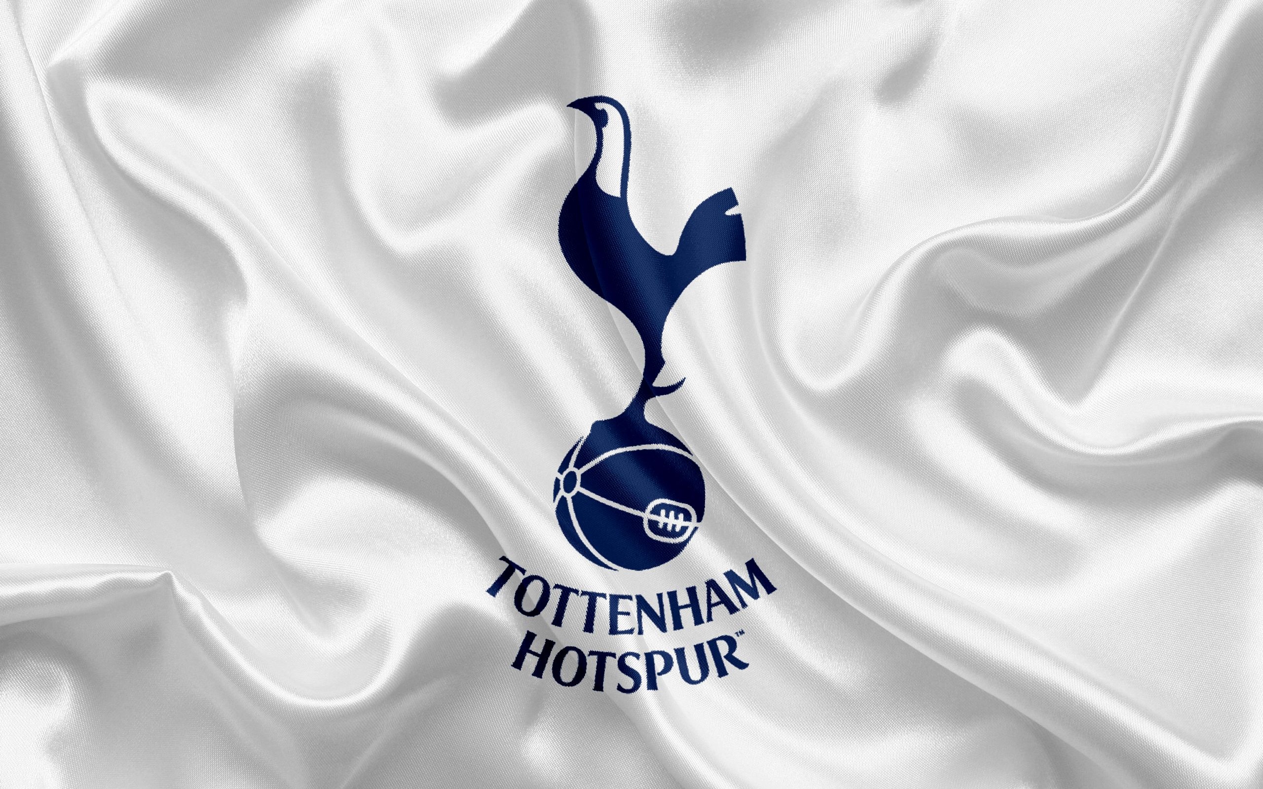 Tottenham Hotspur FC: A professional football club based in London, England. 2560x1600 HD Background.
