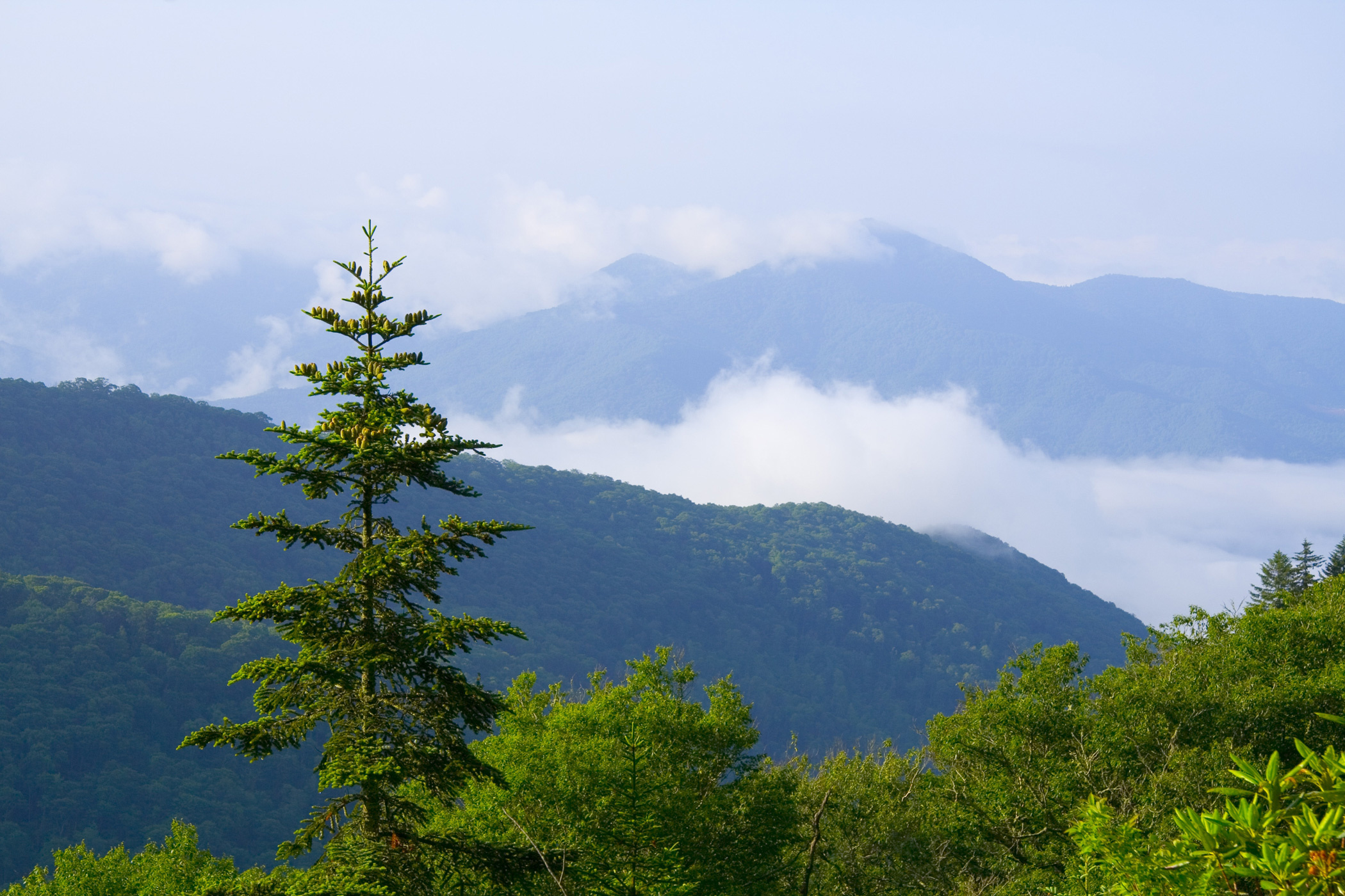 Great Smoky Mountains, National Park, Eastern beauty, Nature's wonder, 2100x1400 HD Desktop