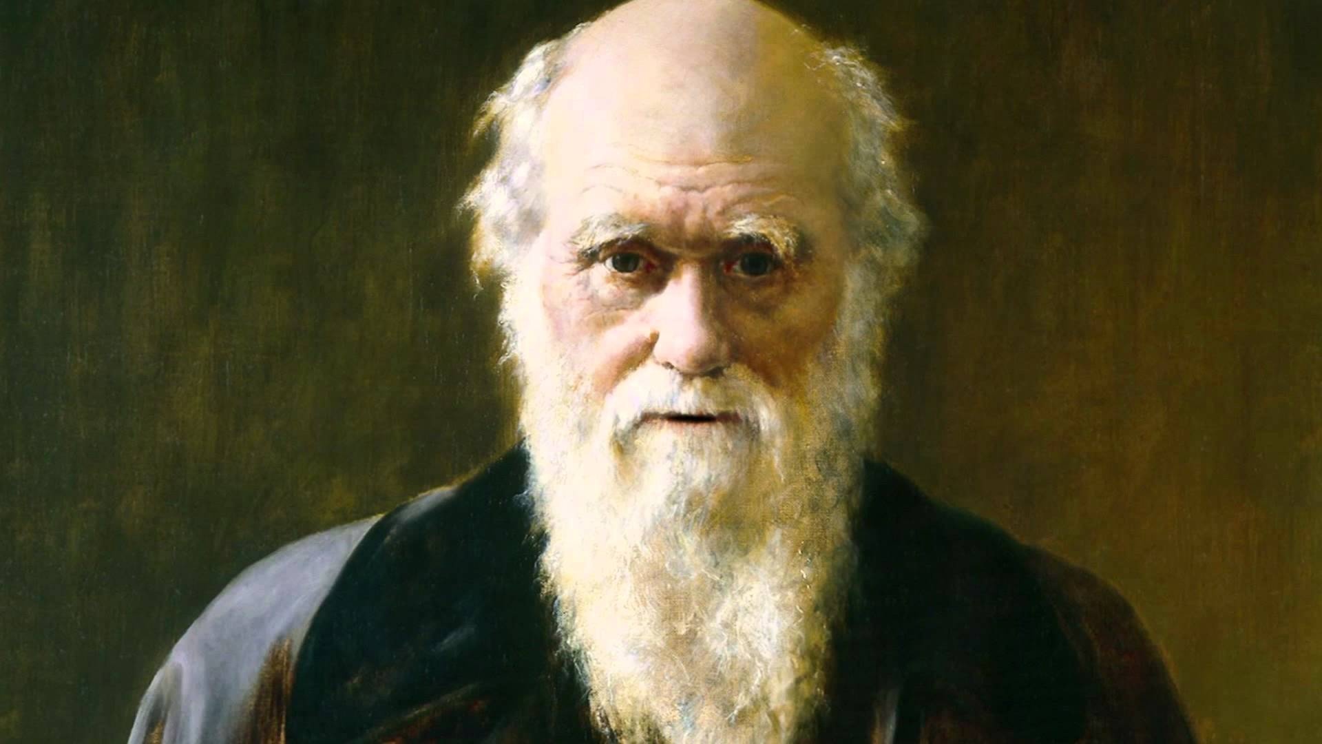 Charles Darwin: Scientist, known for his contributions to evolutionary biology. 1920x1080 Full HD Wallpaper.